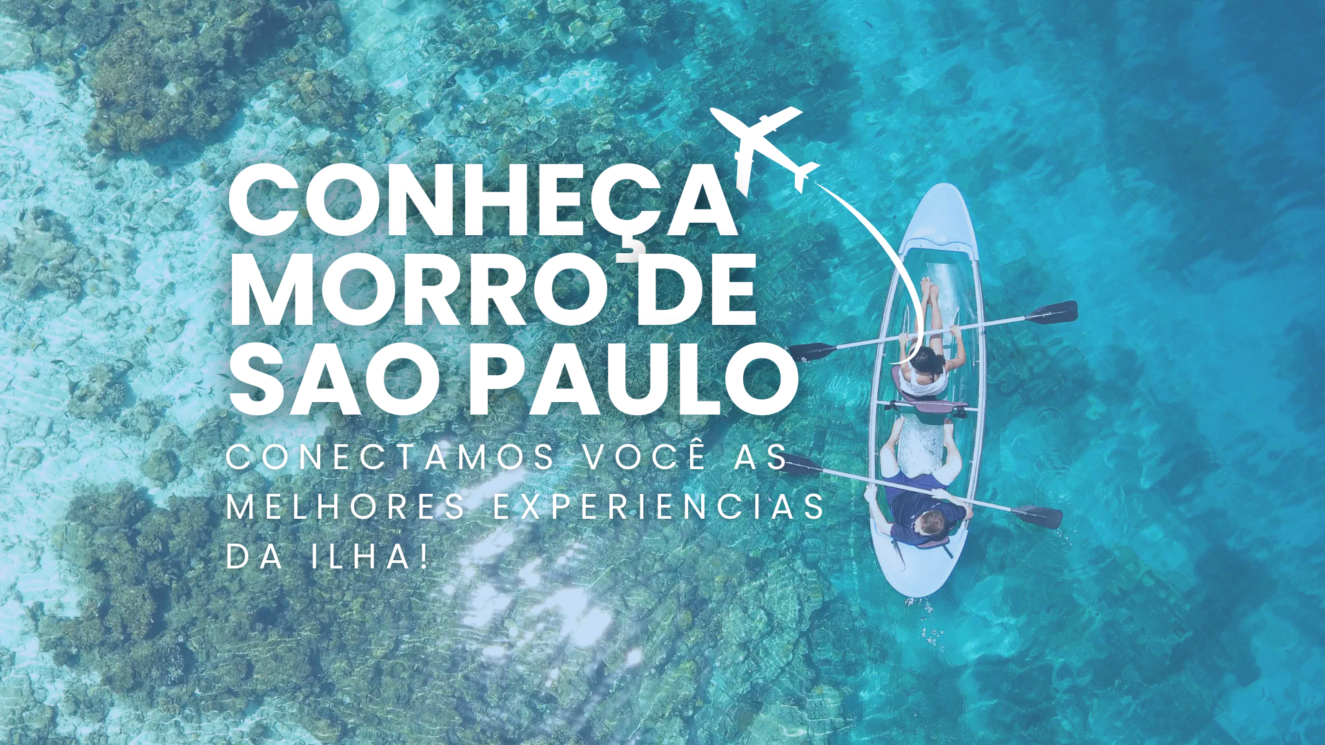 An aerial view of a beach and the ocean