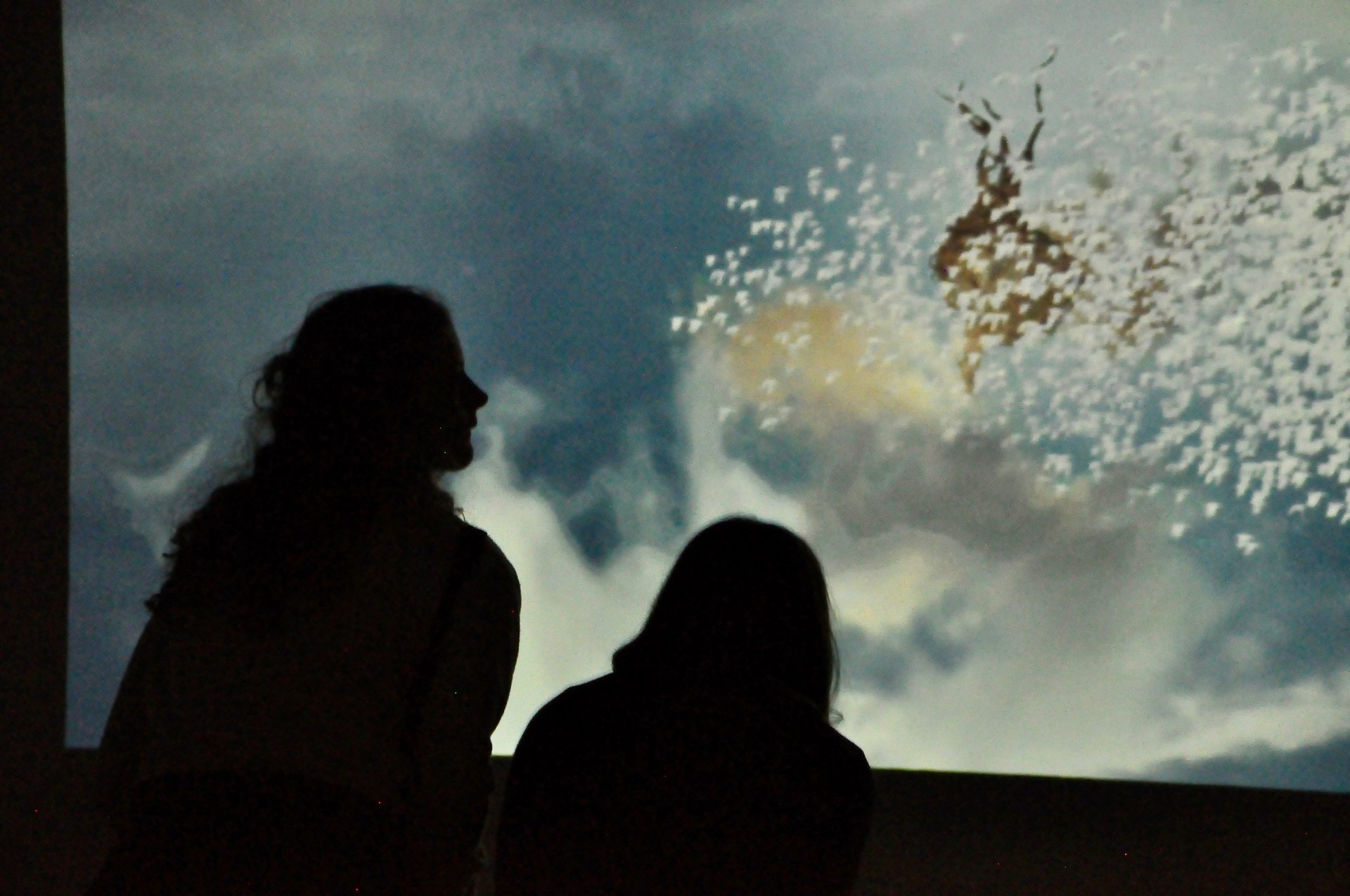 black and white bed linen