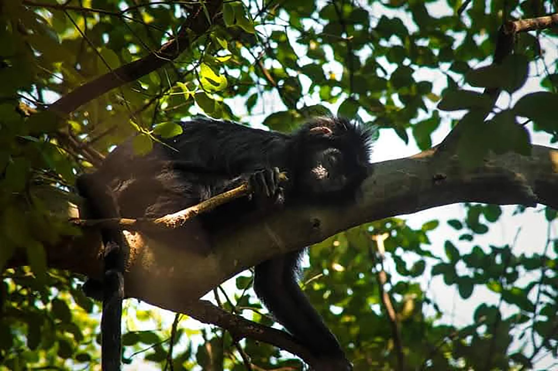 Dokumentasi Muara Gembong Survive