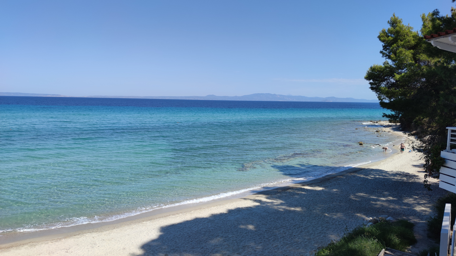 black blue and yellow textile