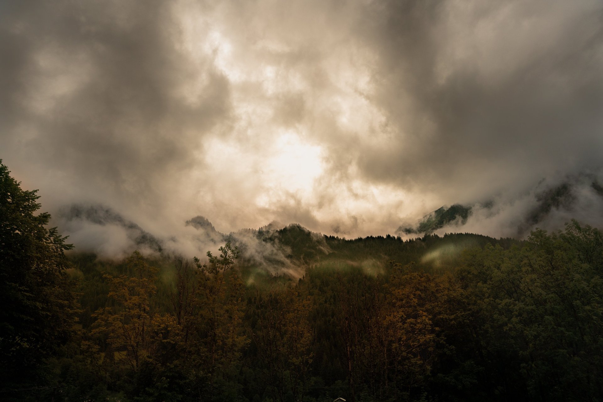 photo paysage montagne nuage lumière forêt