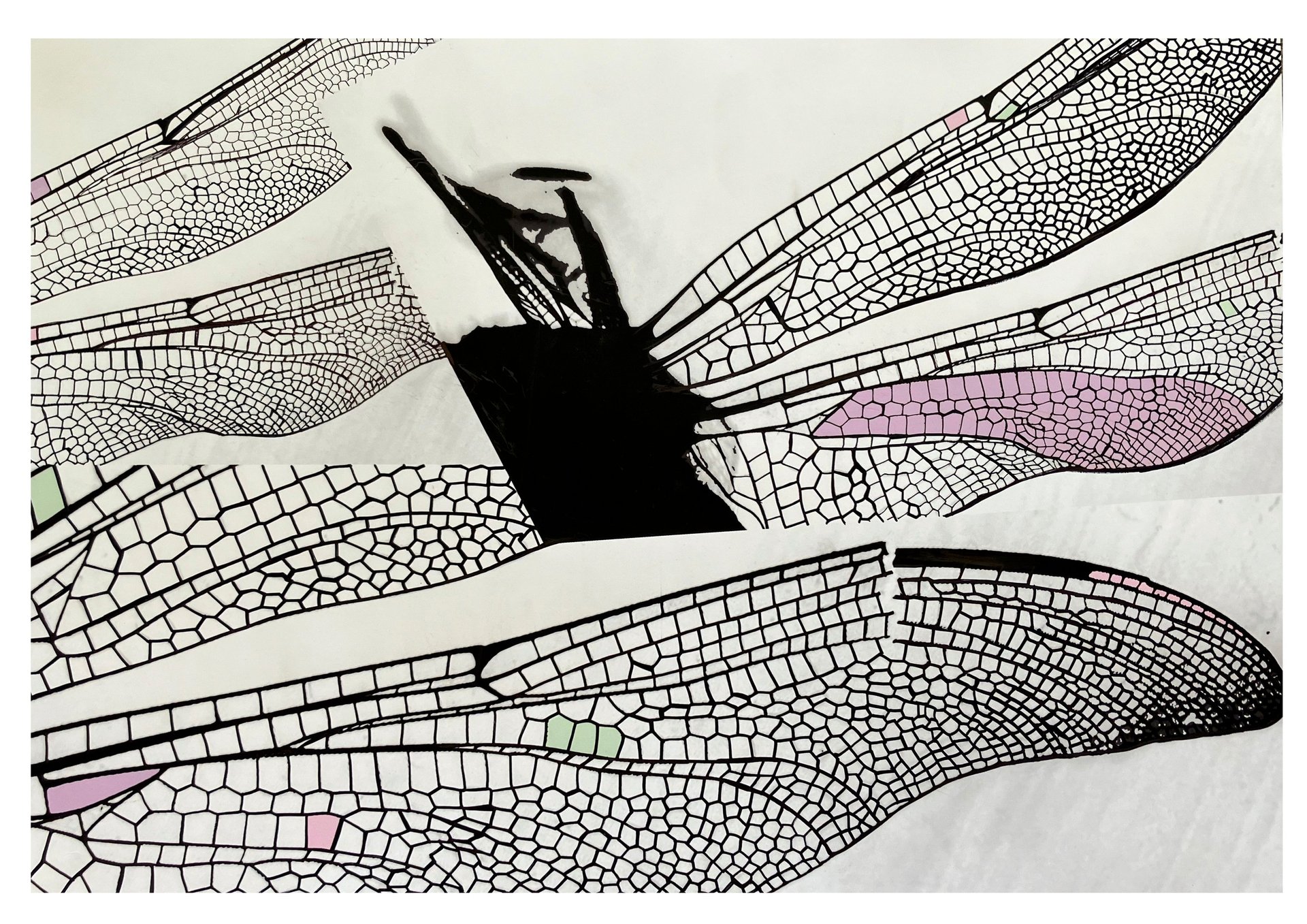 black and white bed linen