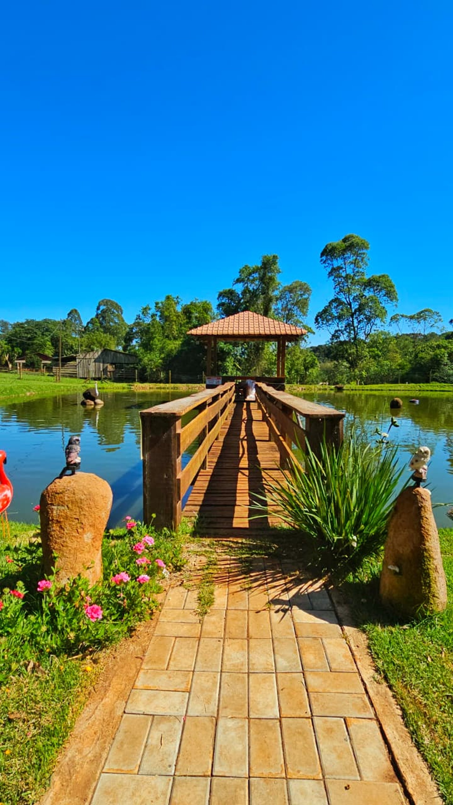 woman wearing yellow long-sleeved dress under white clouds and blue sky during daytime