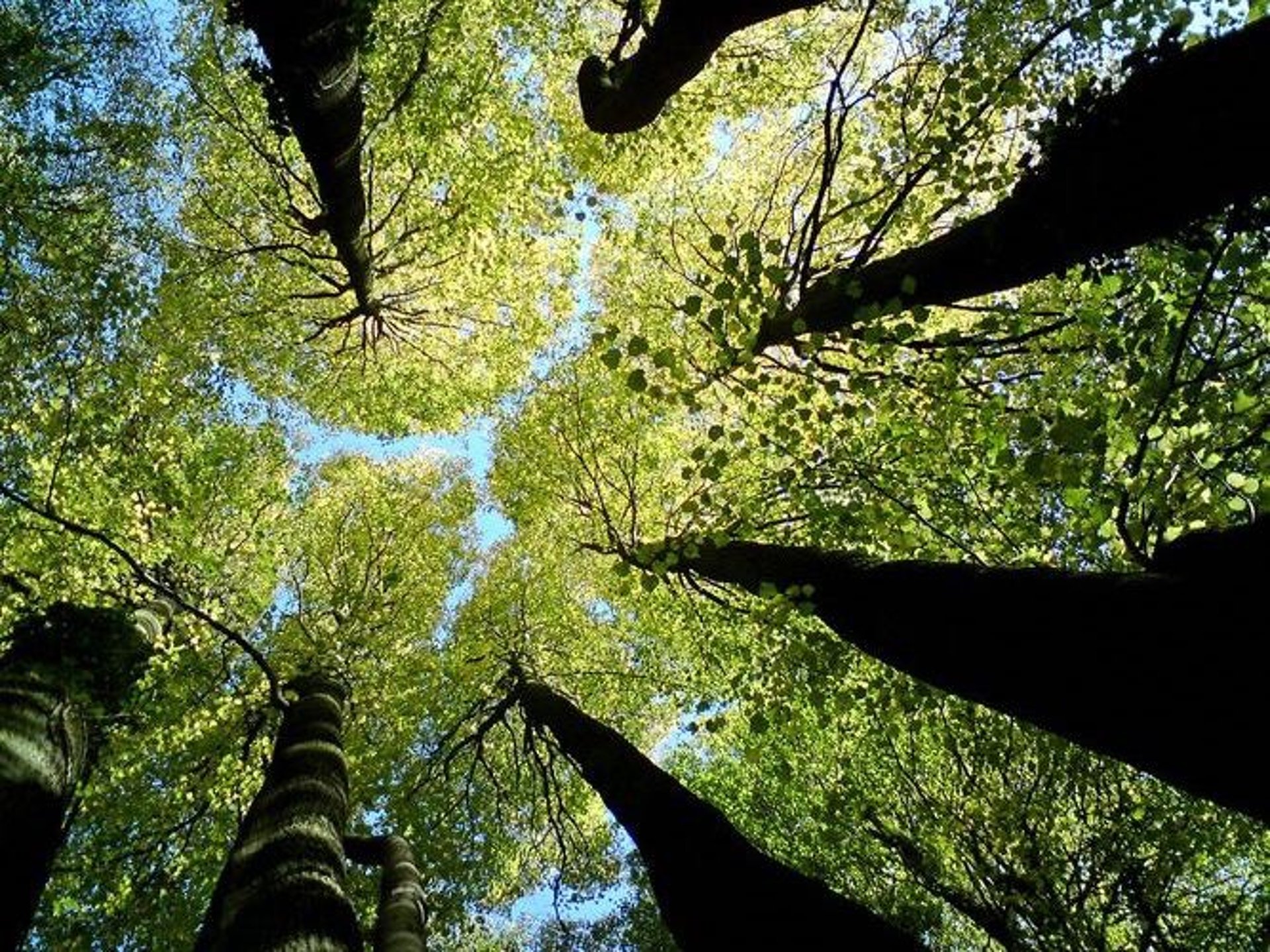 an abstract photo of a curved building with a blue sky in the background