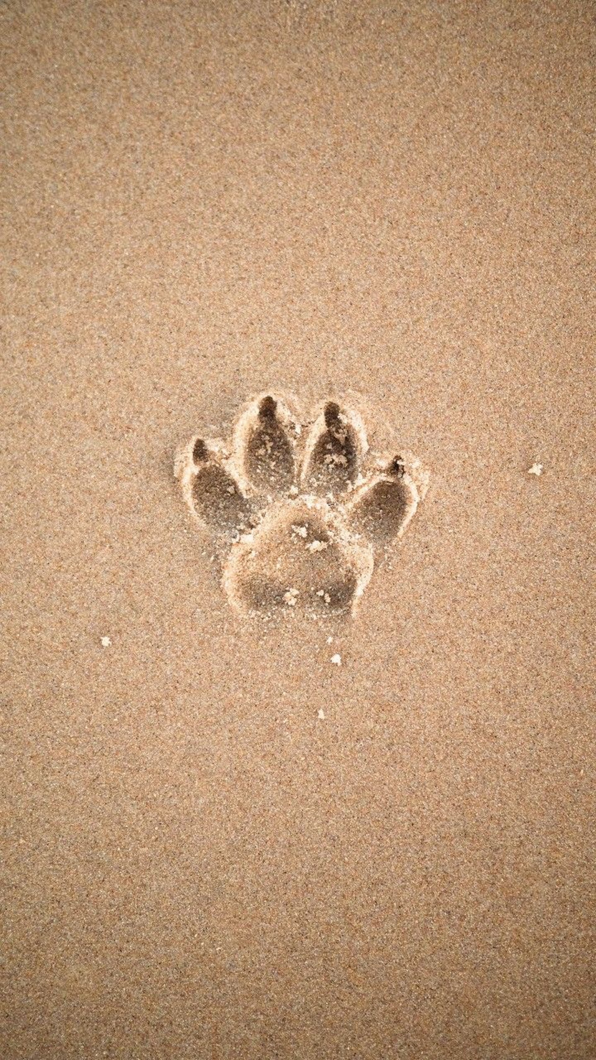 brown sand with heart shaped sand