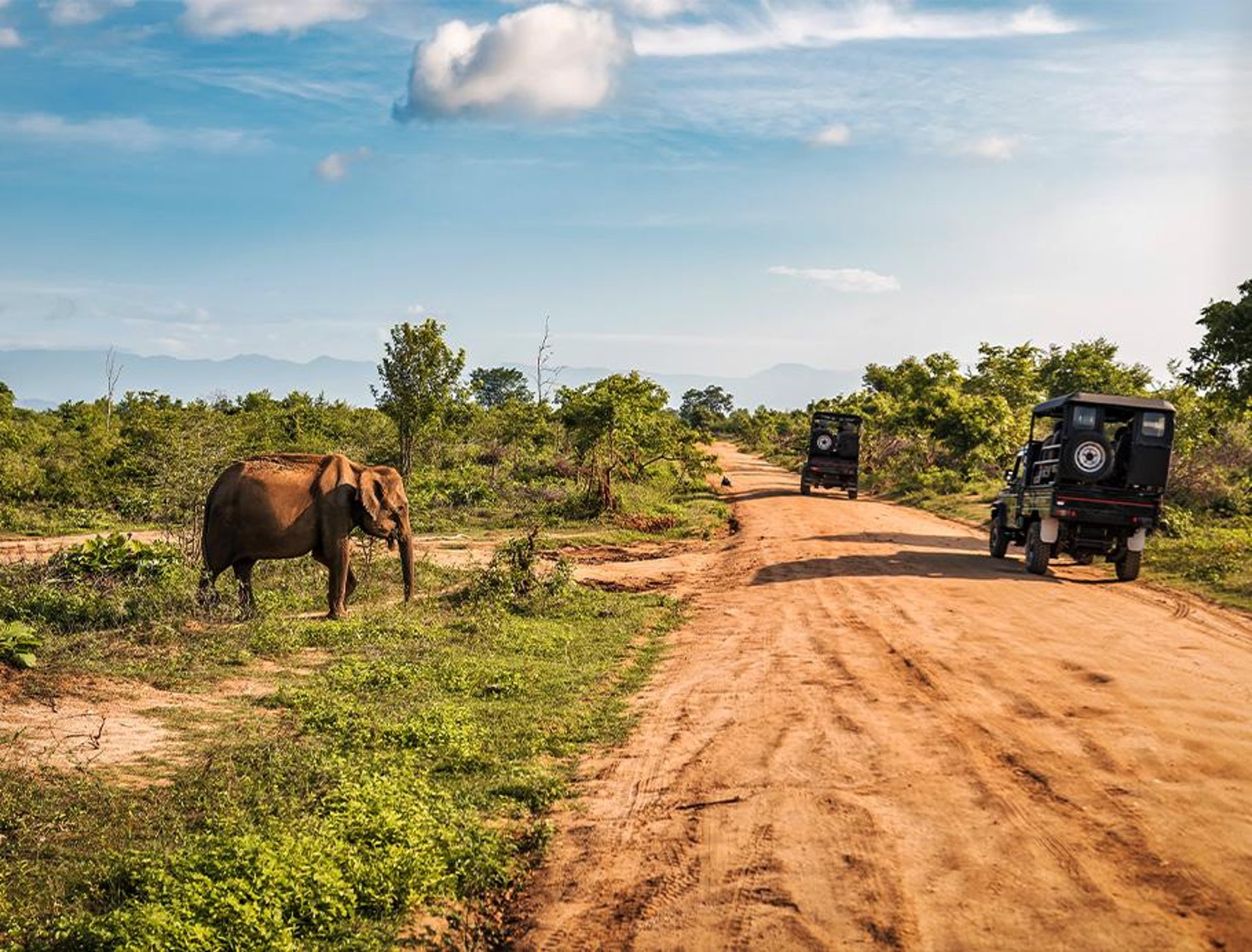 black and brown leather padded tub sofa
