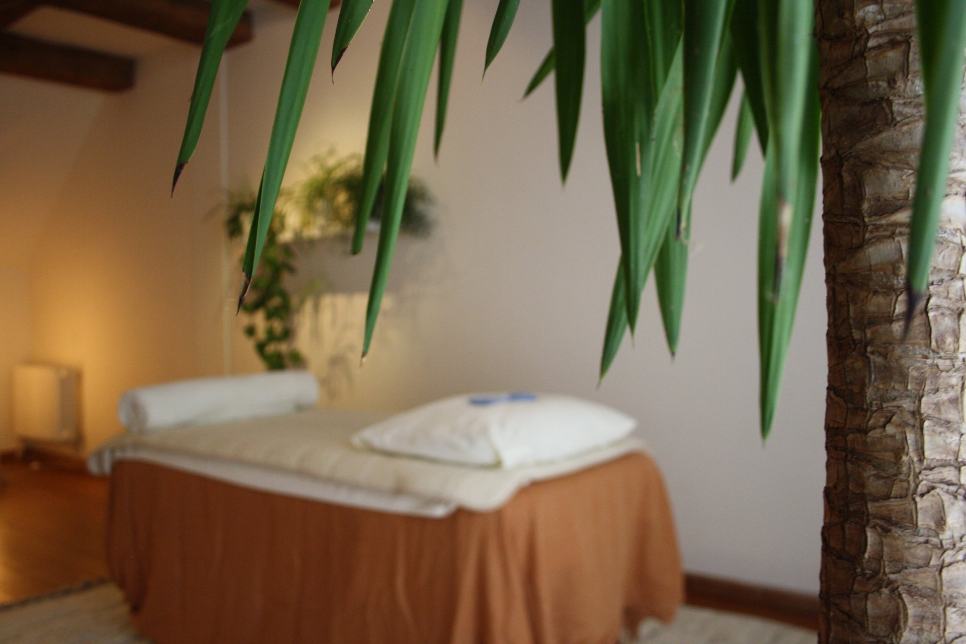 an abstract photo of a curved building with a blue sky in the background
