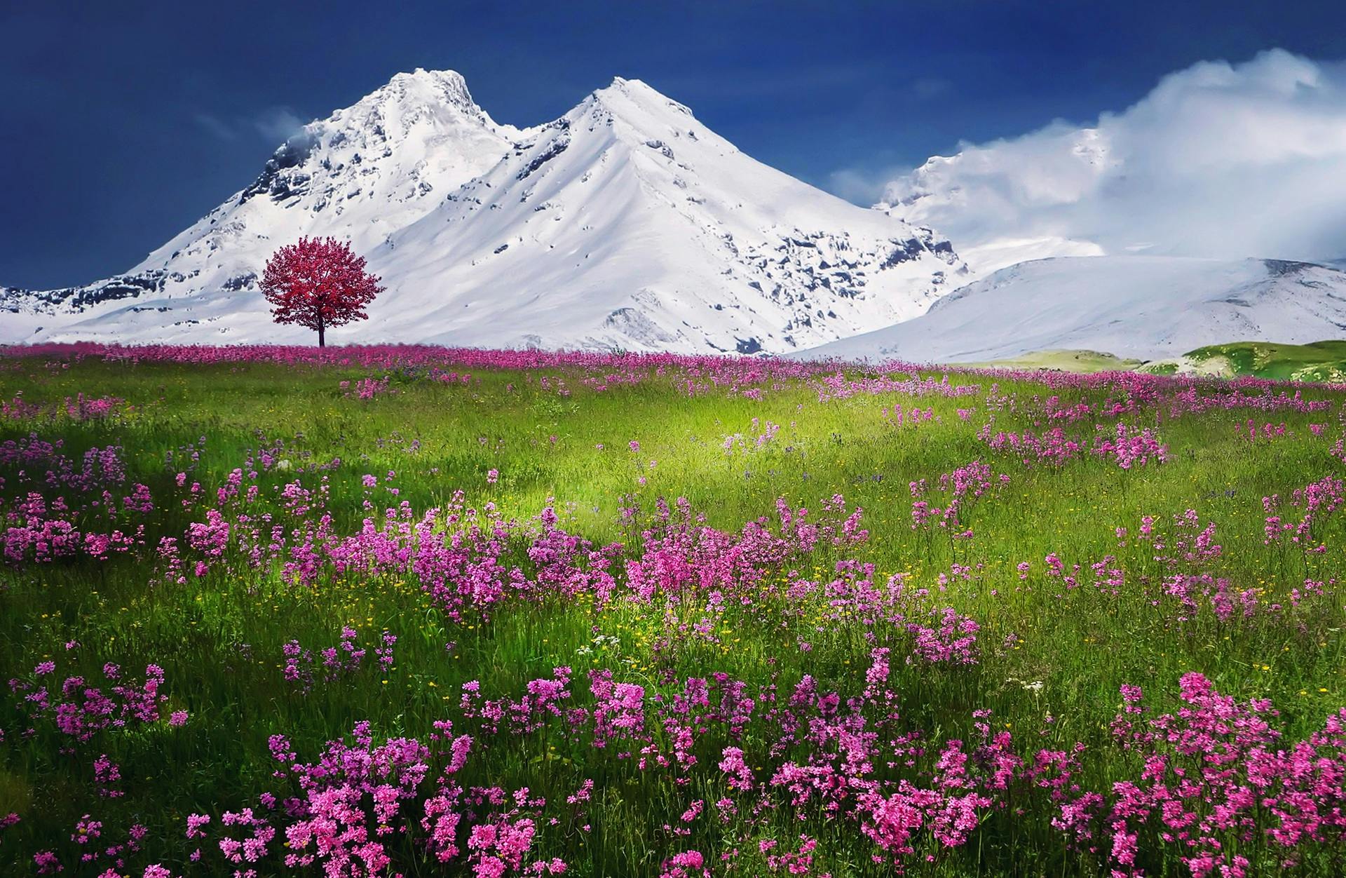 mountain range under blue sky