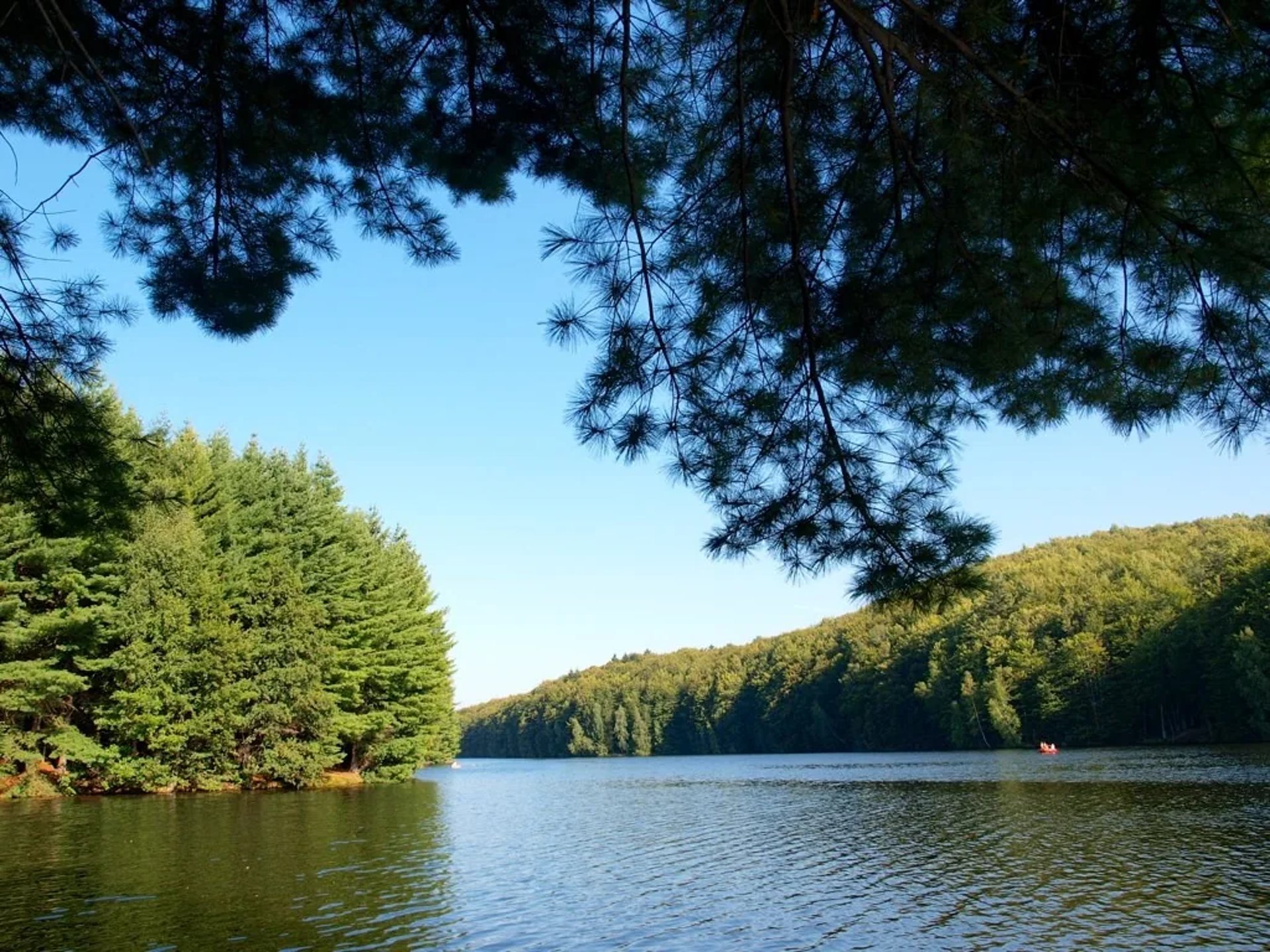 Vedere panoramică asupra Lacului Gozna, înconjurat de păduri, lângă Văliug, Munții Semenic
