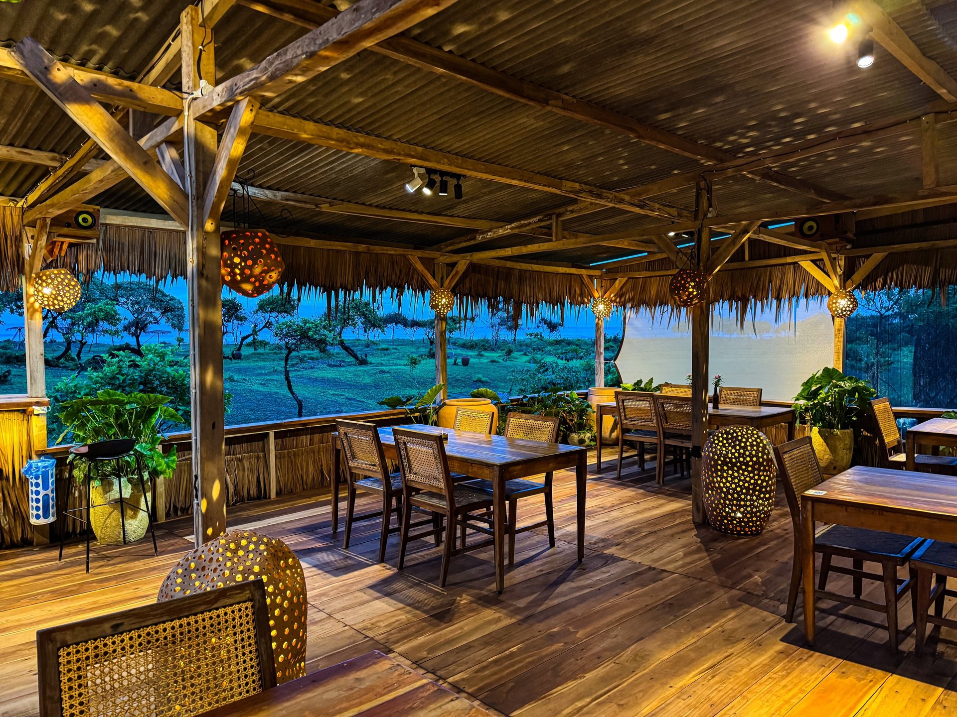 aerial nature photography of green palms on seashore during daytime