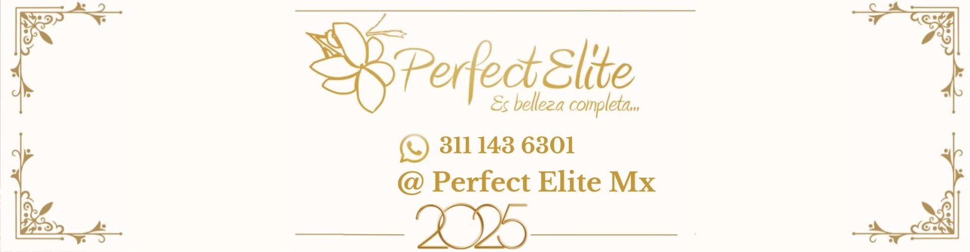 Banner sobre 2025 Perfect Elite Mx