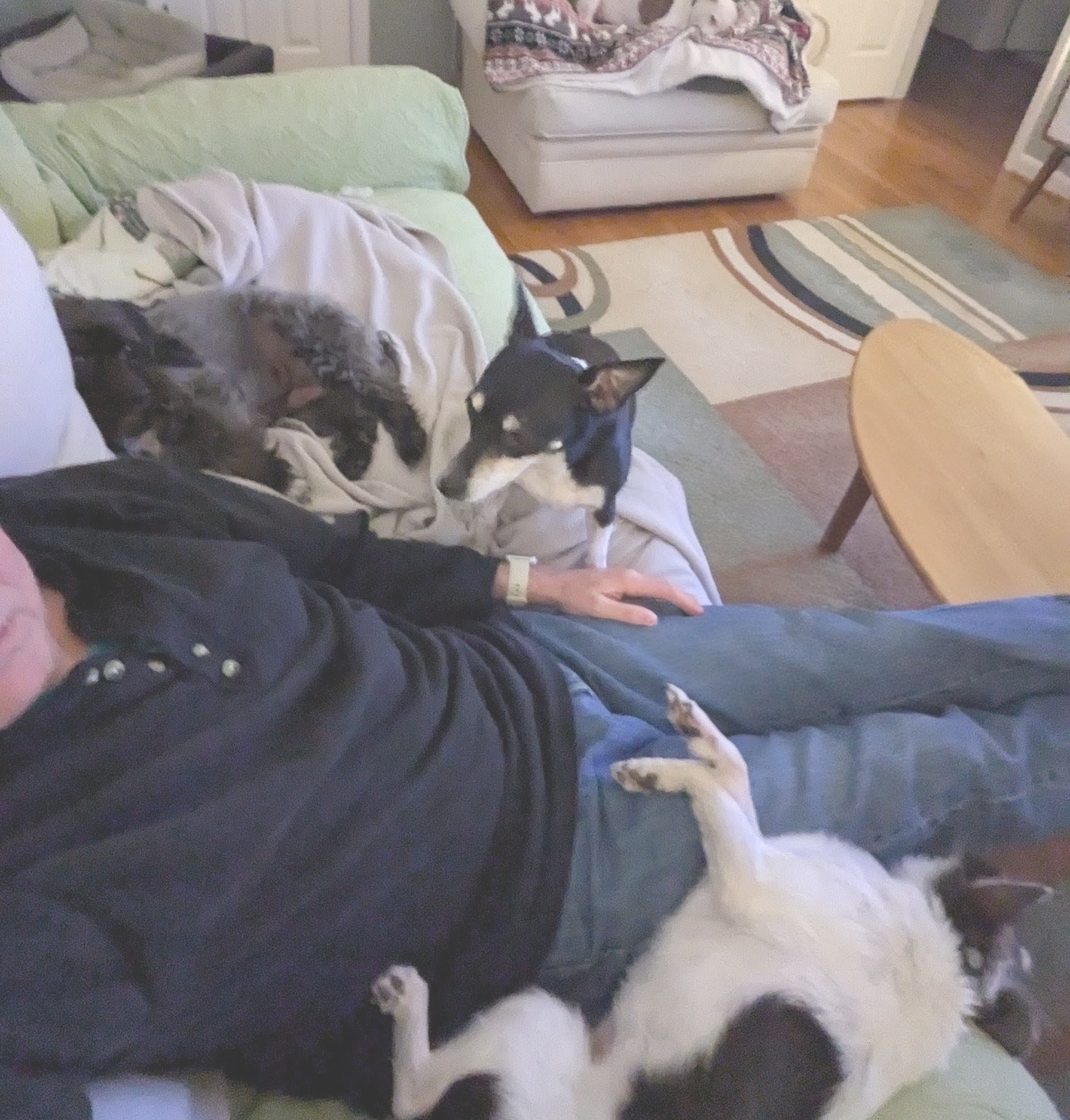 black and brown leather padded tub sofa