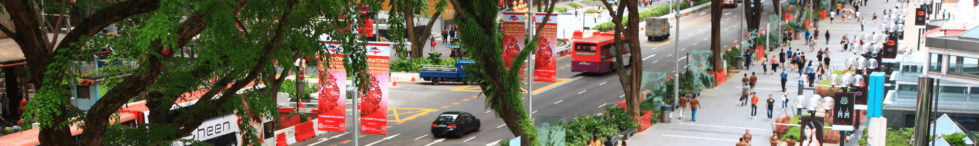 people walking on sidewalk near green trees and buildings during daytime