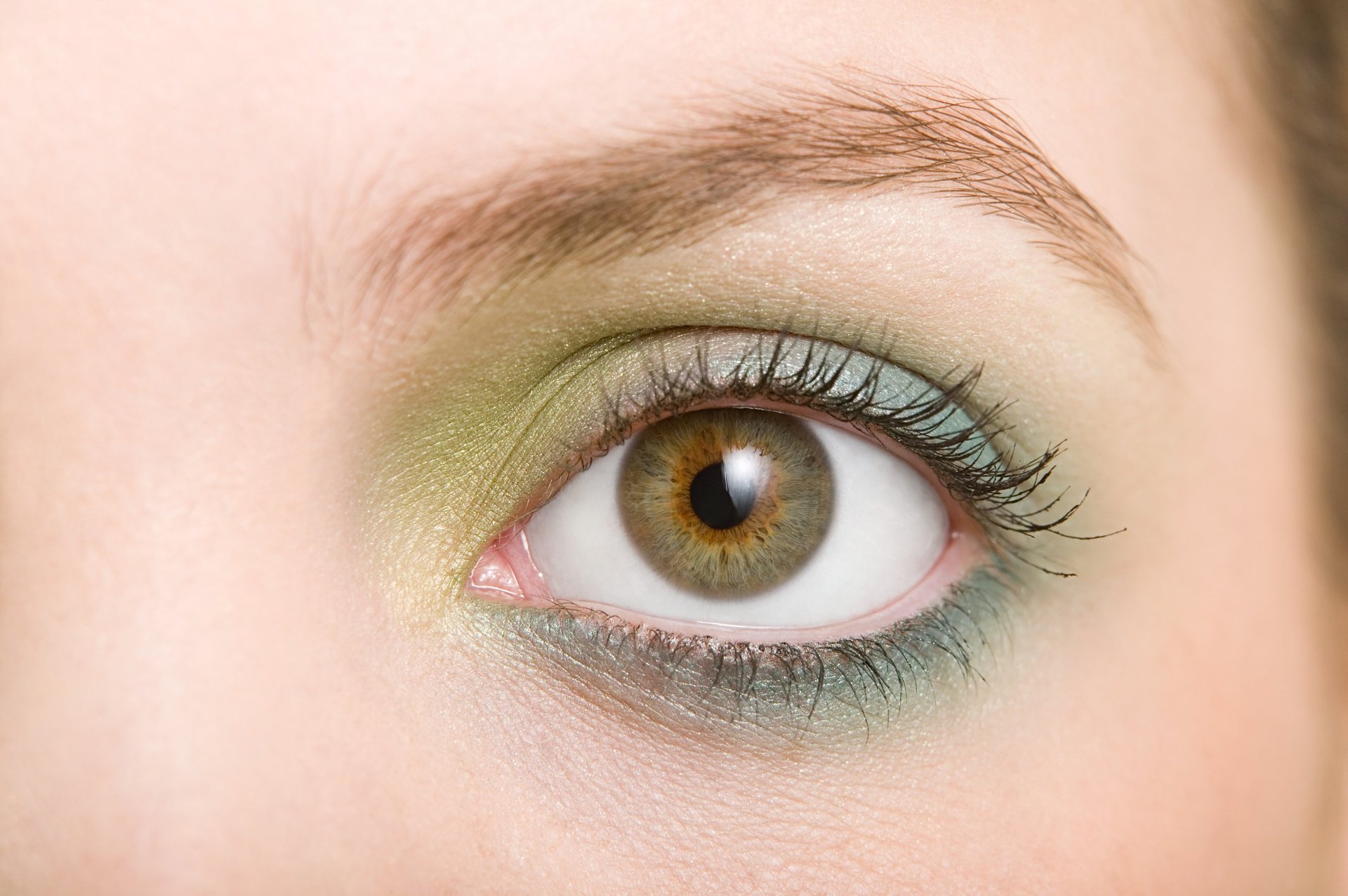 Photo d'un iris brun-vert 
