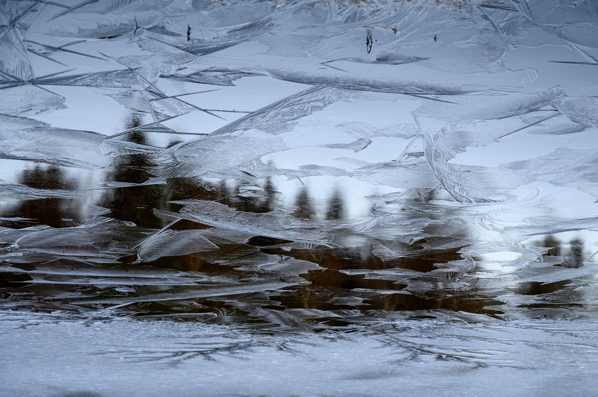 black blue and yellow textile