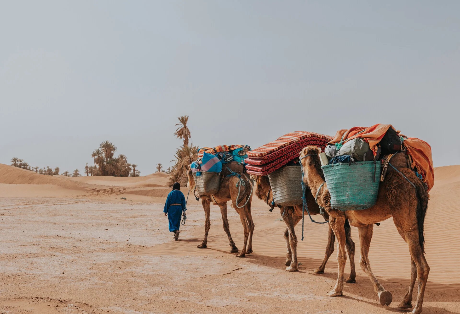 Trekking & Hiking Tours Morocco