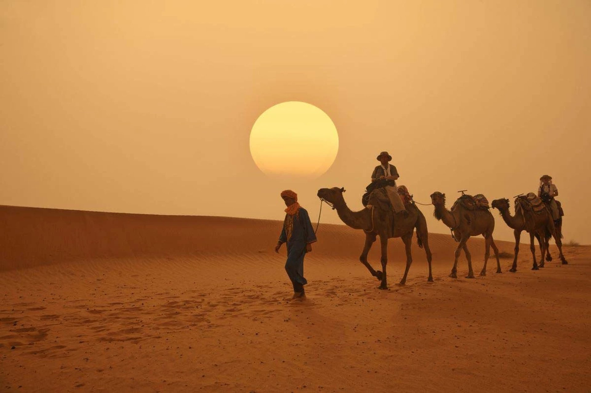 sul of nomads - camel ride in the sunset moroccan desert - about us