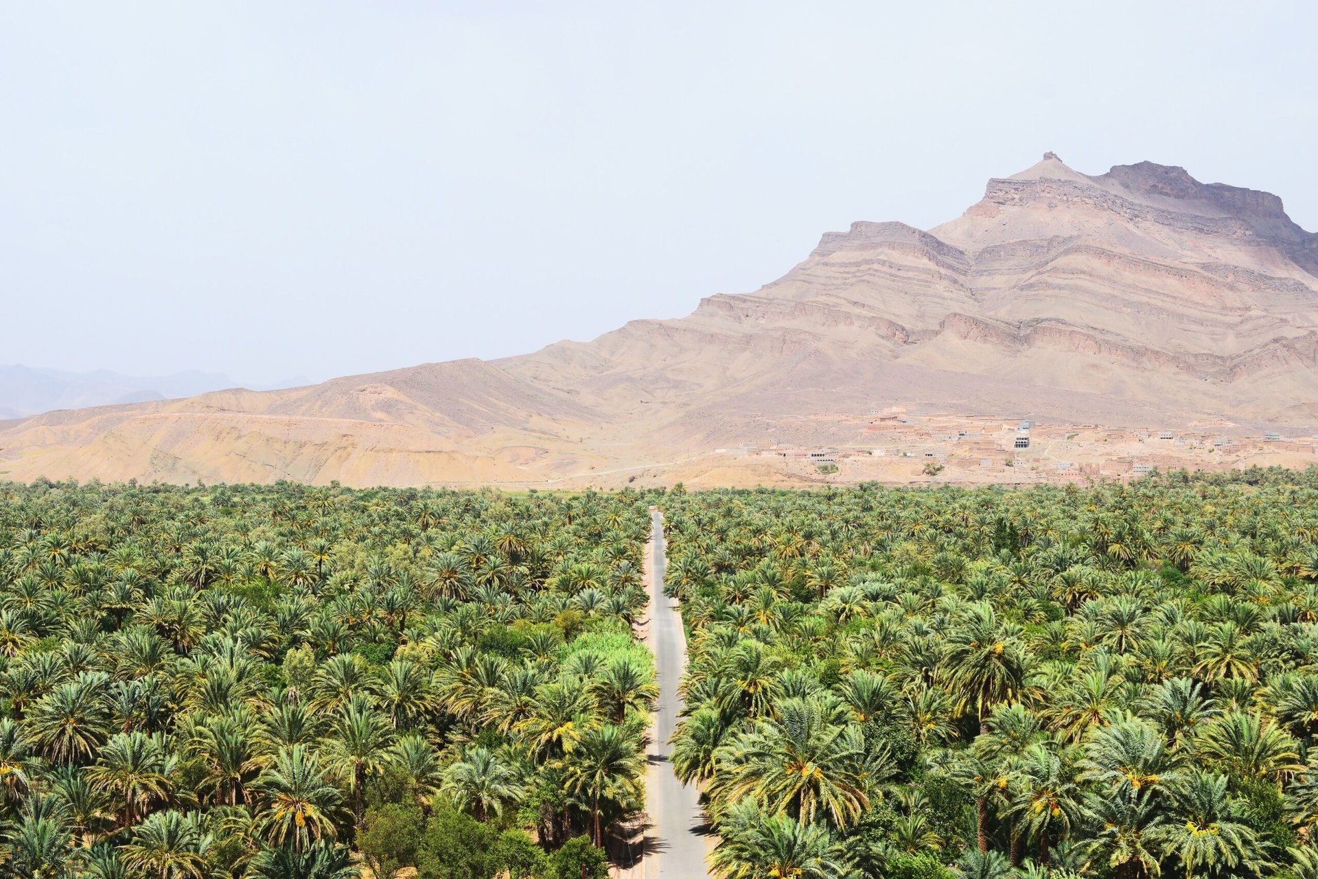Explore Morocco Travel Guides – Mountains, Desert & Culture