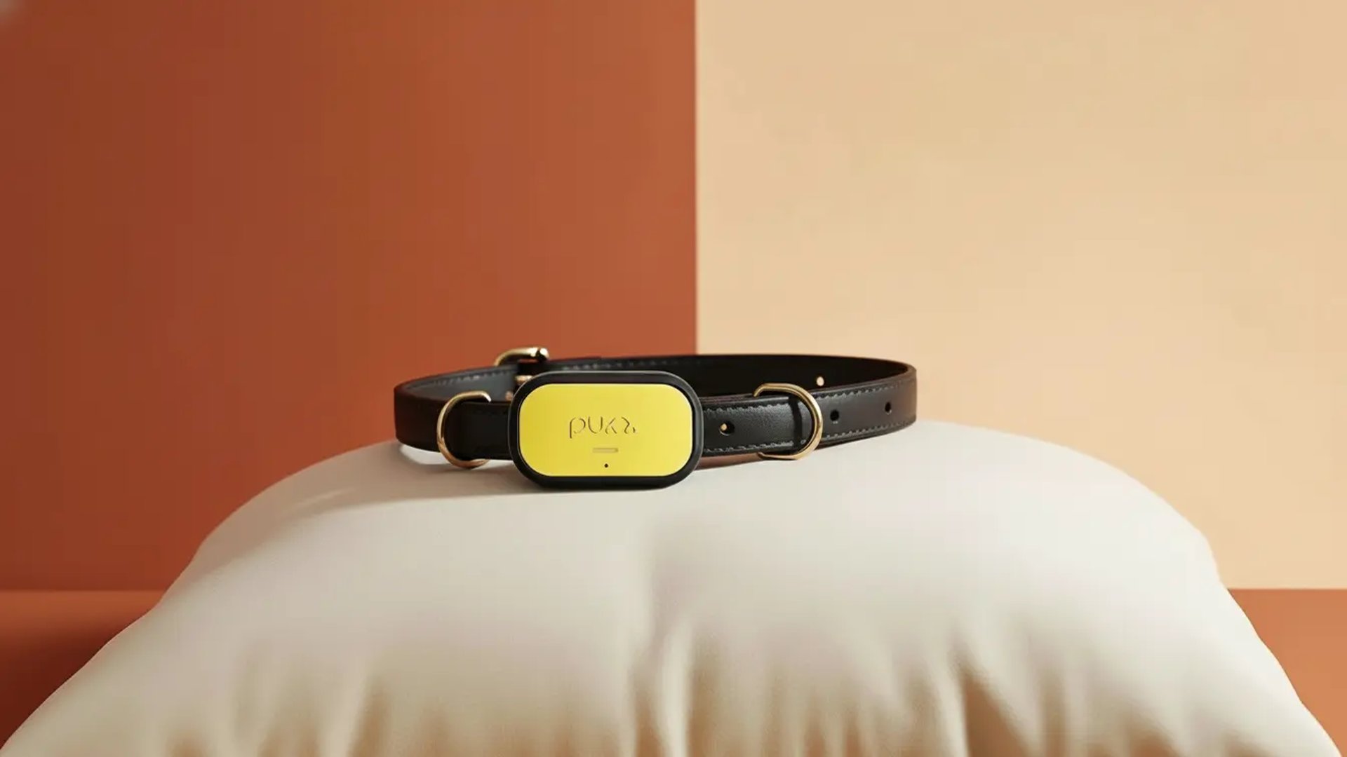 Dog Collar with GPS tracker