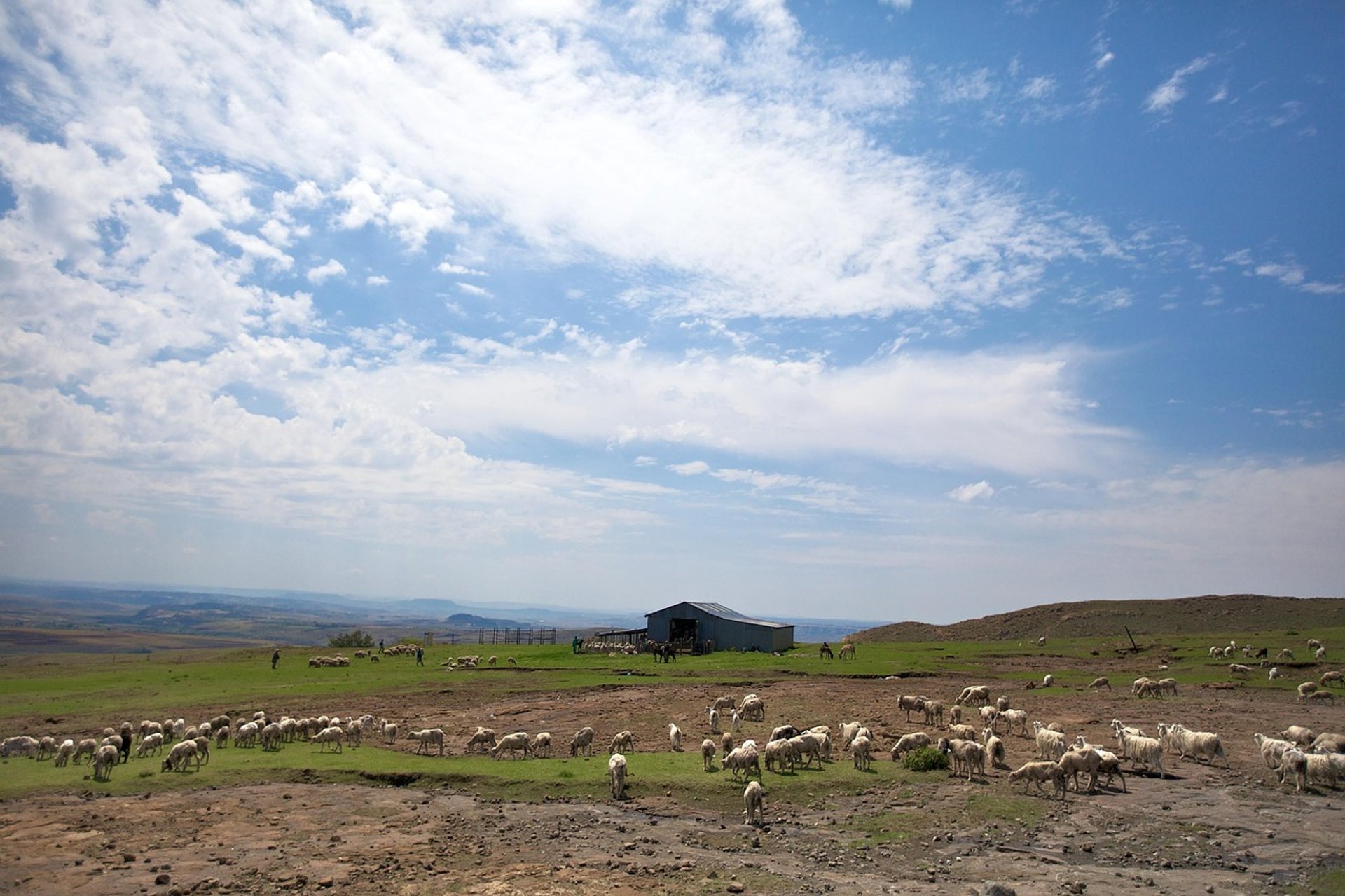 people hiking on green grass field during daytime