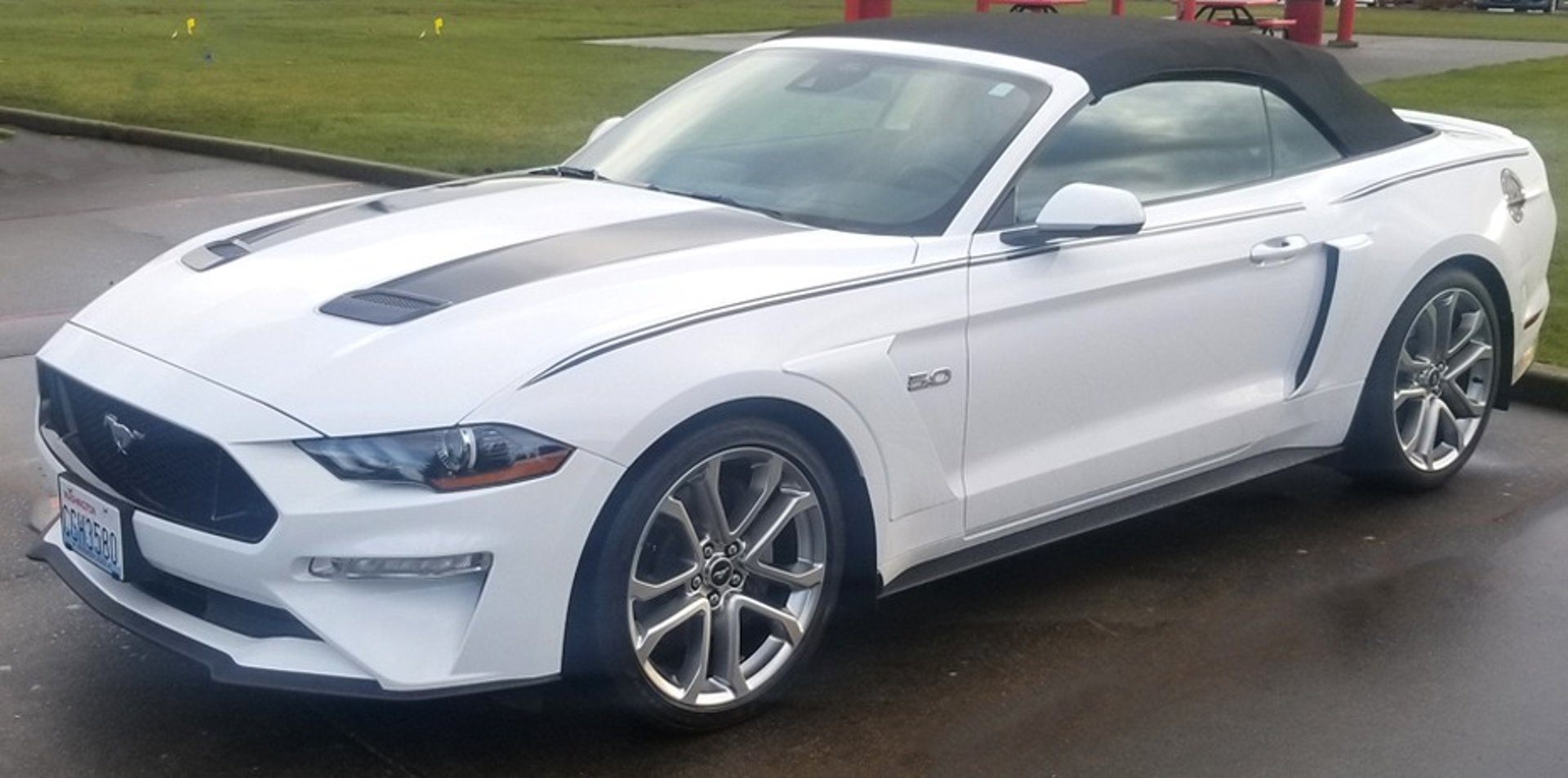 black Ford Mustang coupe on road