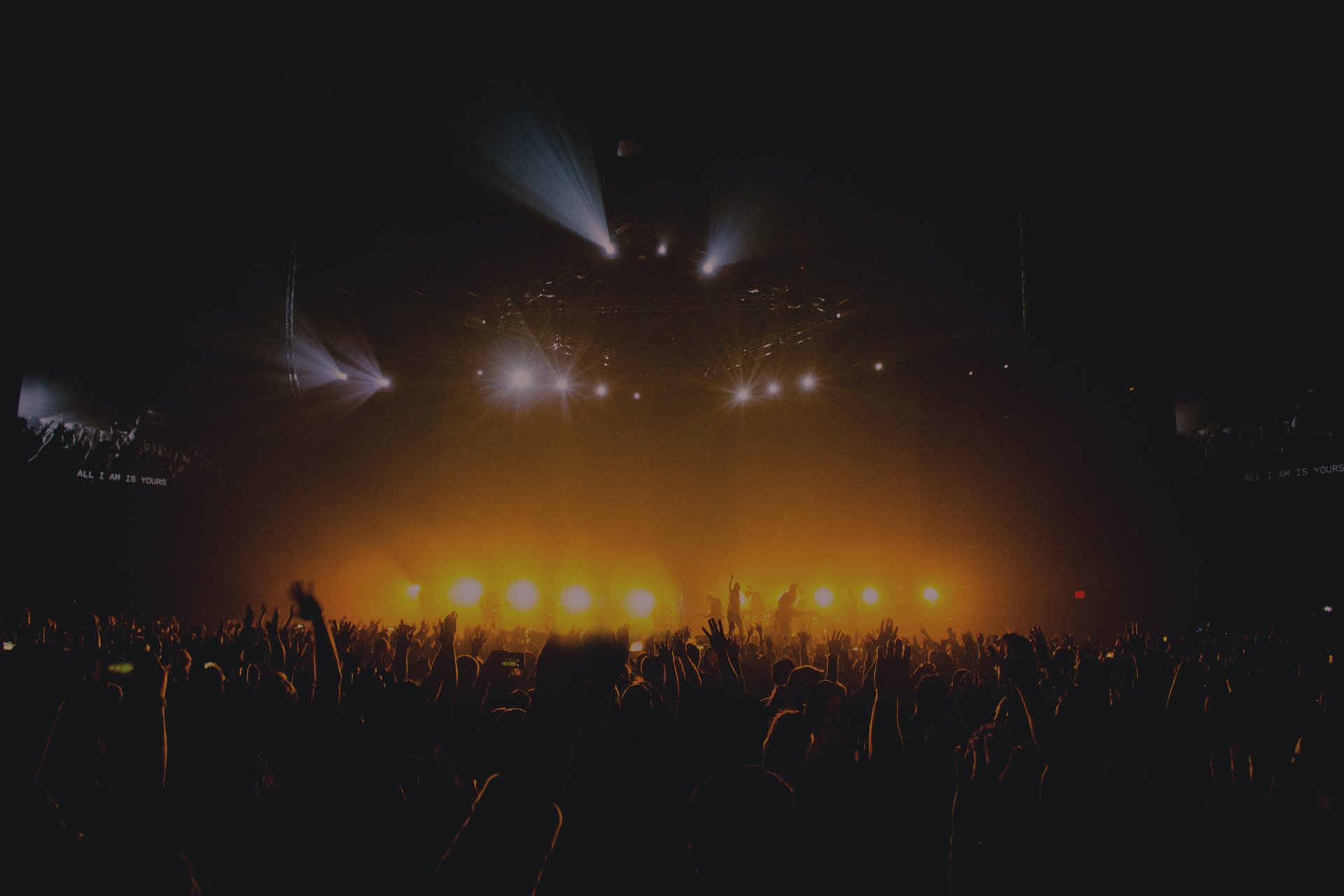shallow focus photography of man in white shirt