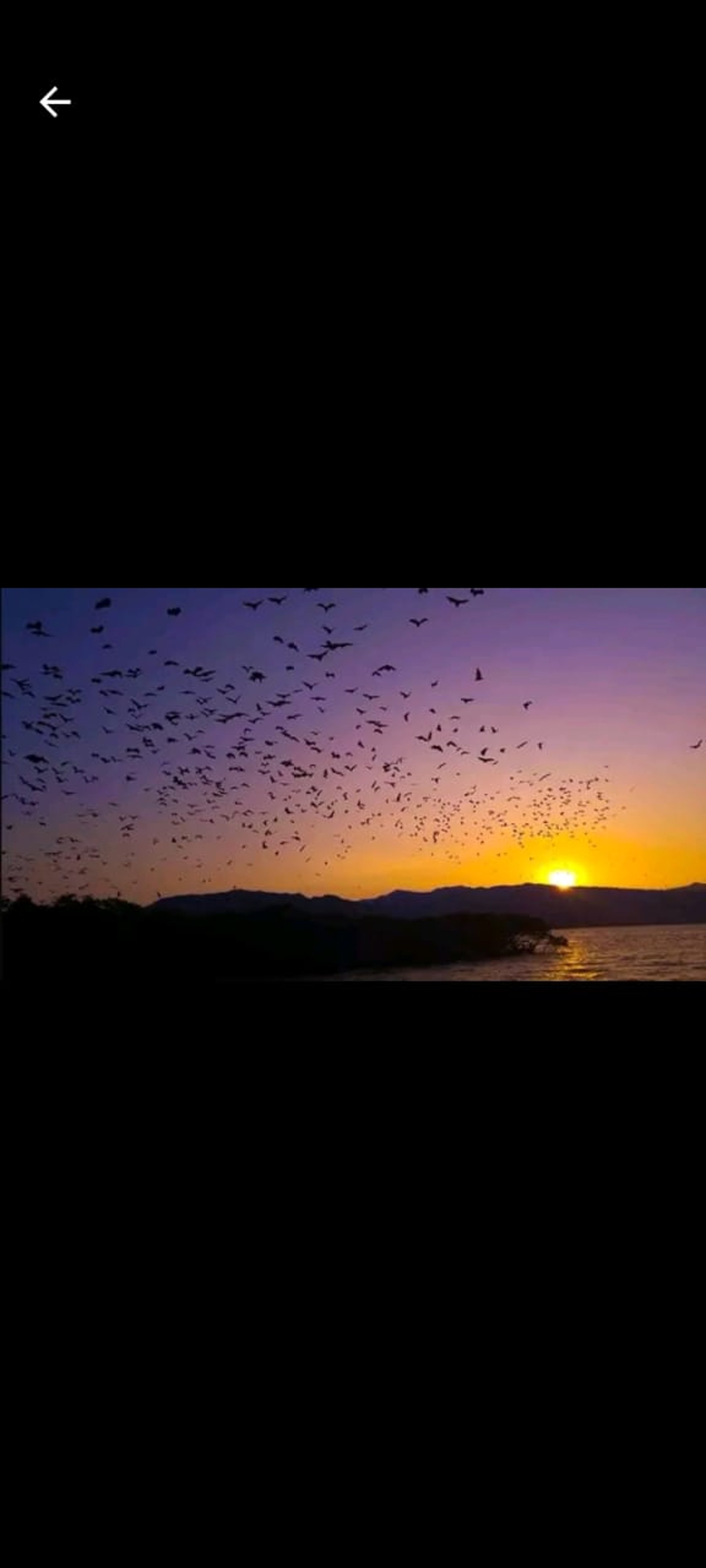 brown wooden dock on sea during daytime