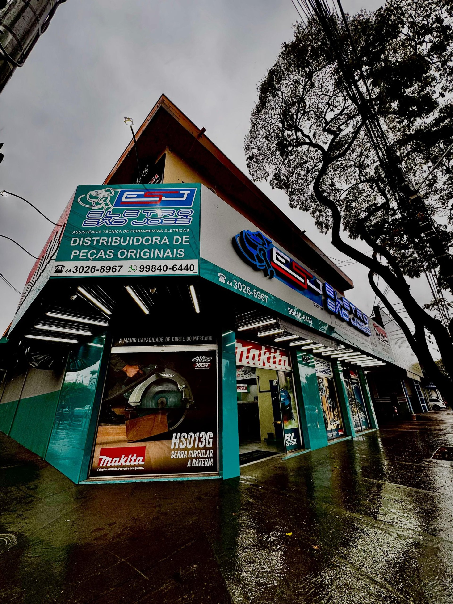 woman holding dried flower