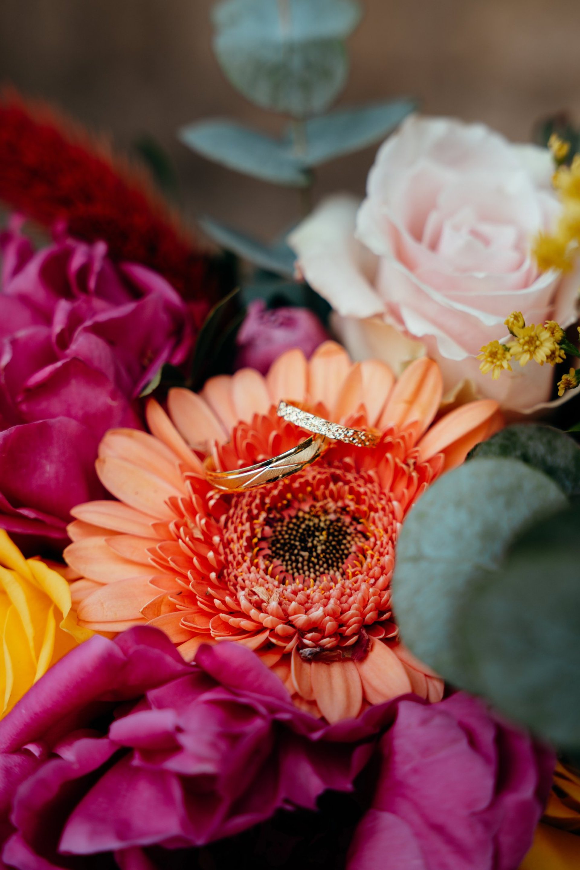 an abstract photo of a curved building with a blue sky in the background