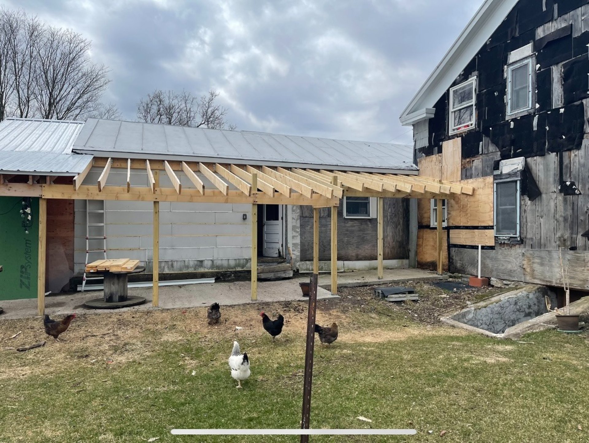 woman wearing yellow long-sleeved dress under white clouds and blue sky during daytime