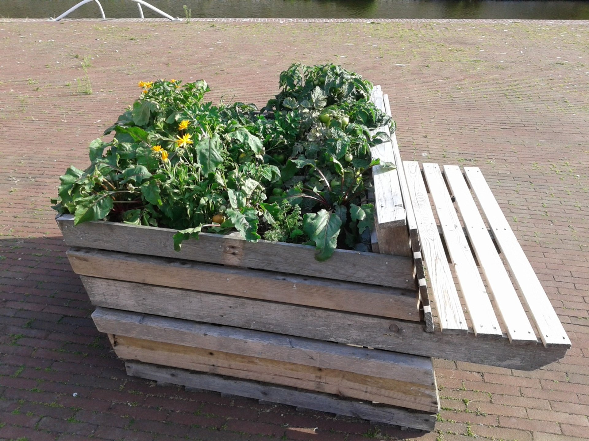 an abstract photo of a curved building with a blue sky in the background