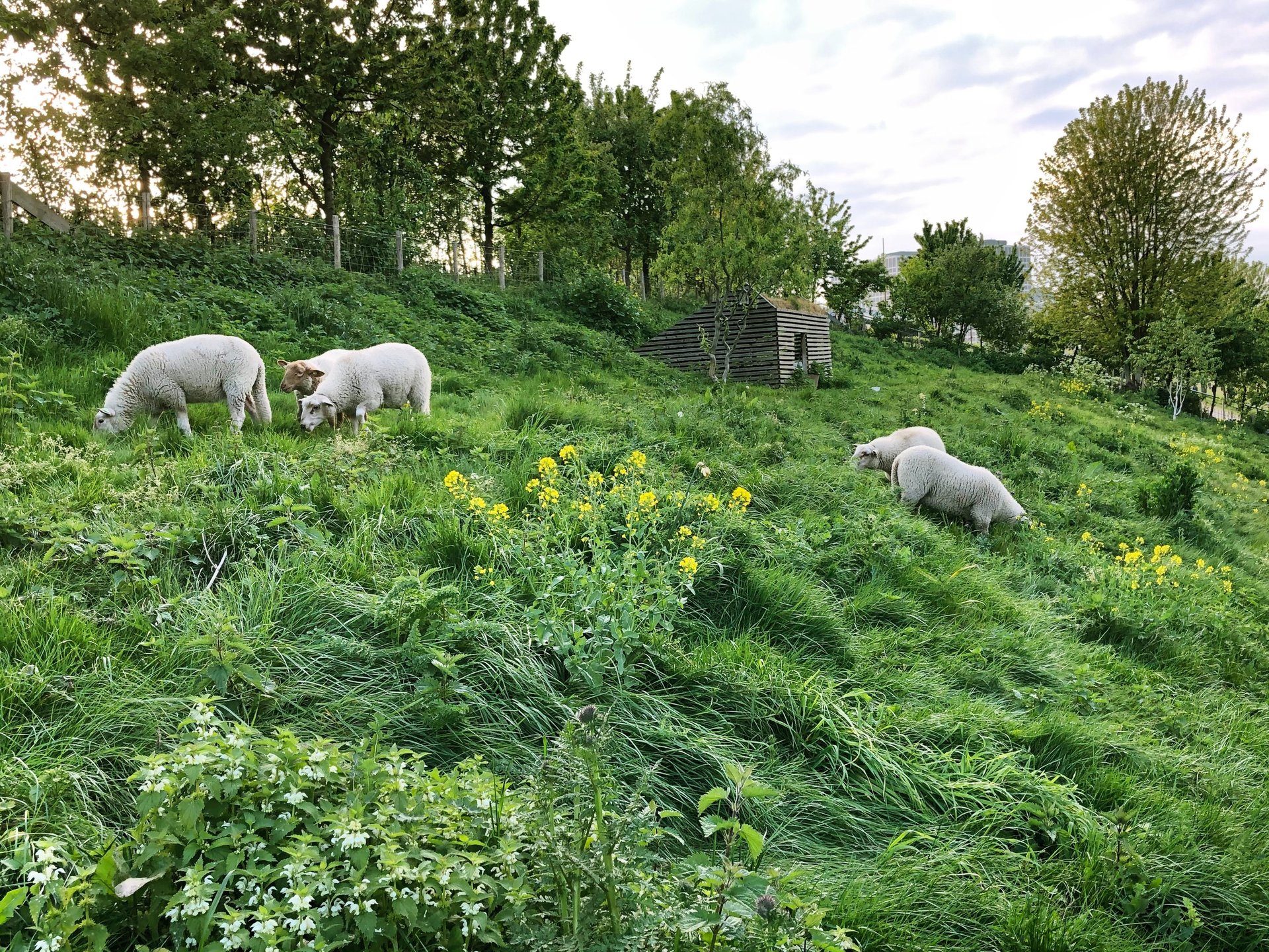 black blue and yellow textile