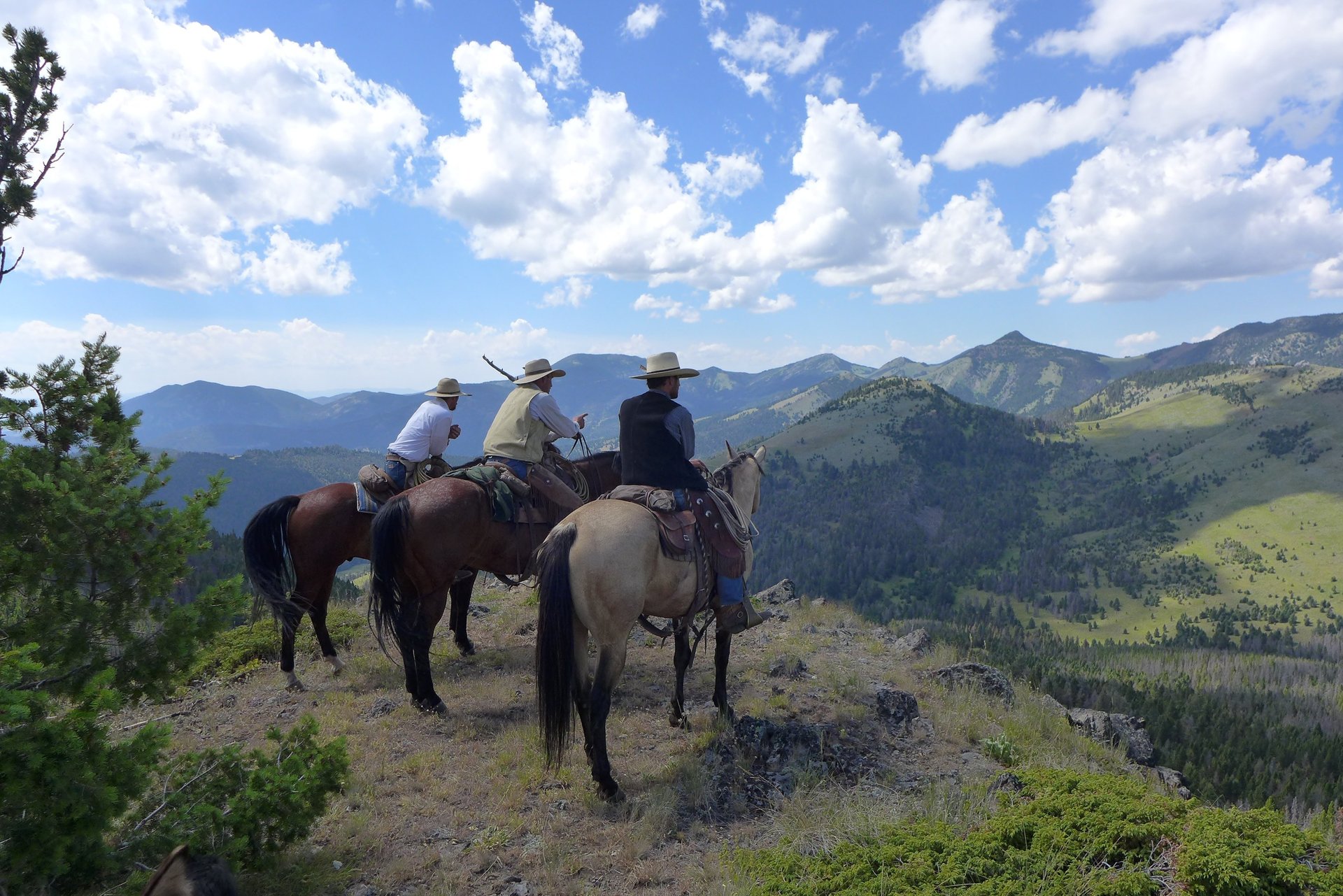 black blue and yellow textile