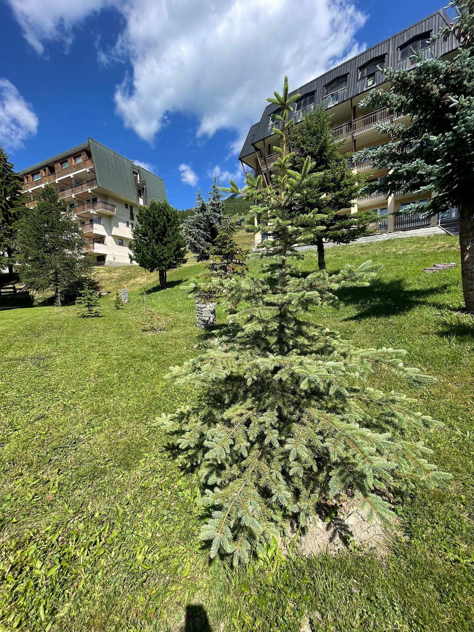 black blue and yellow textile