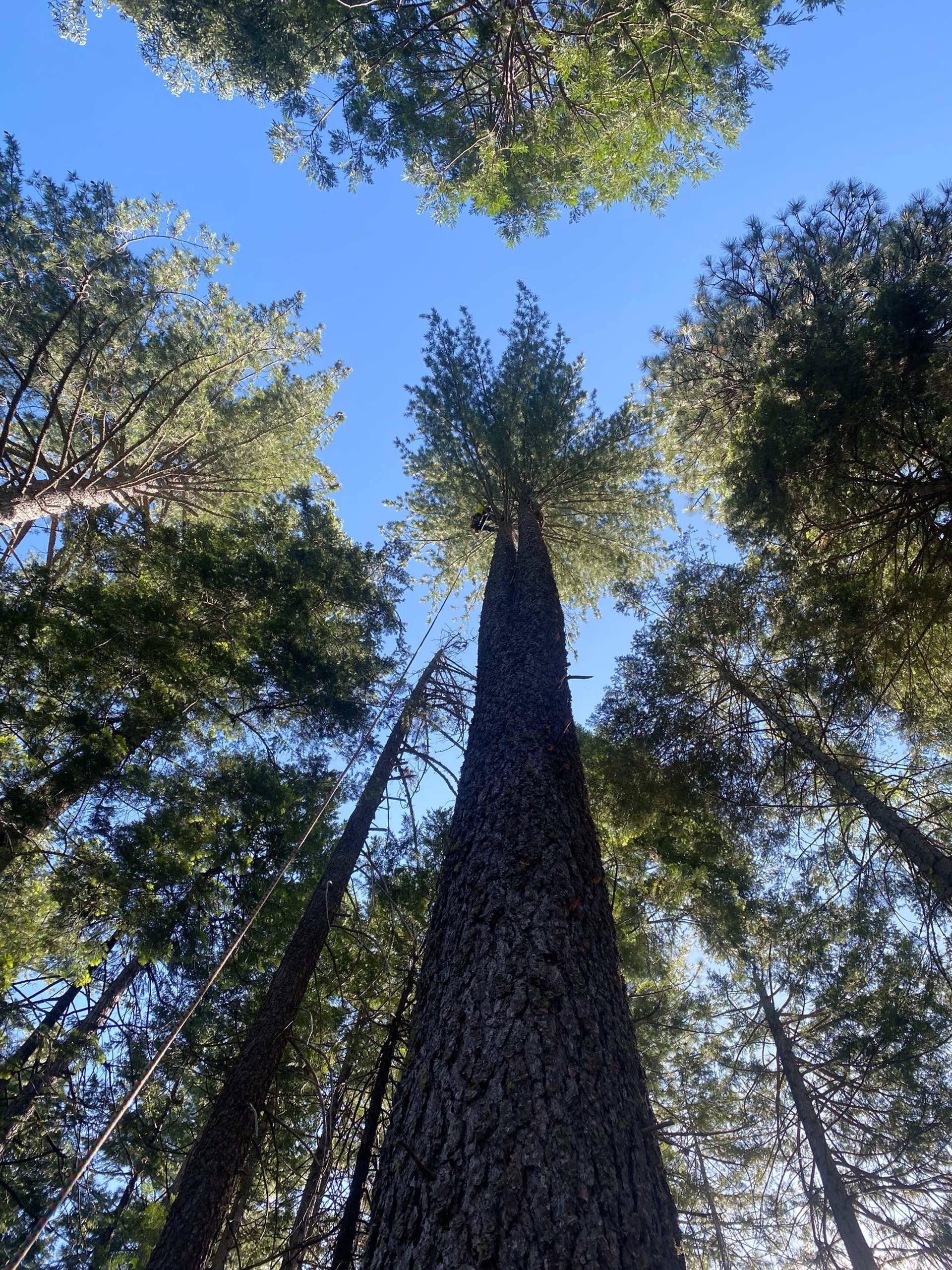 gray computer monitor