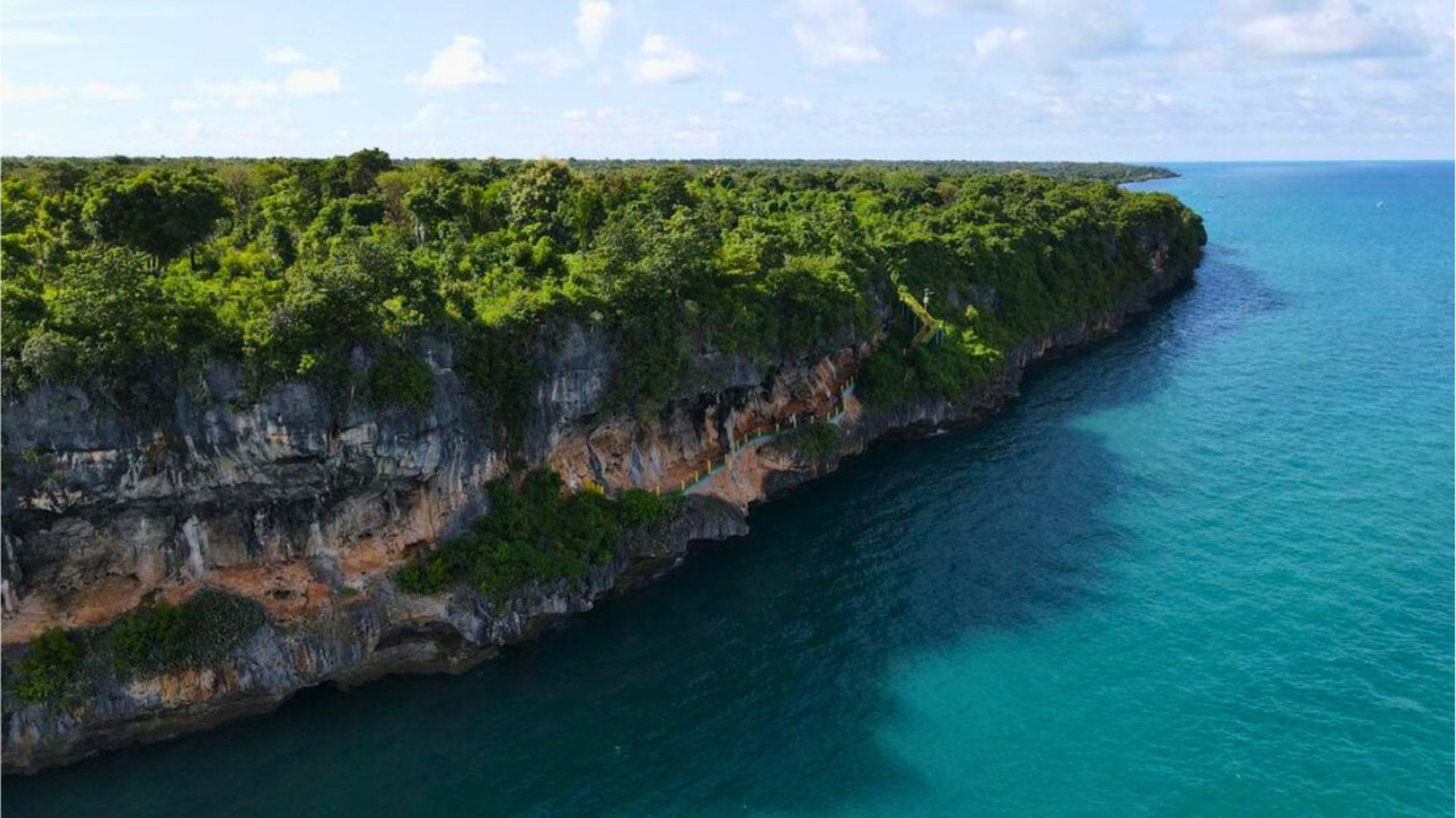 black and brown leather padded tub sofa
