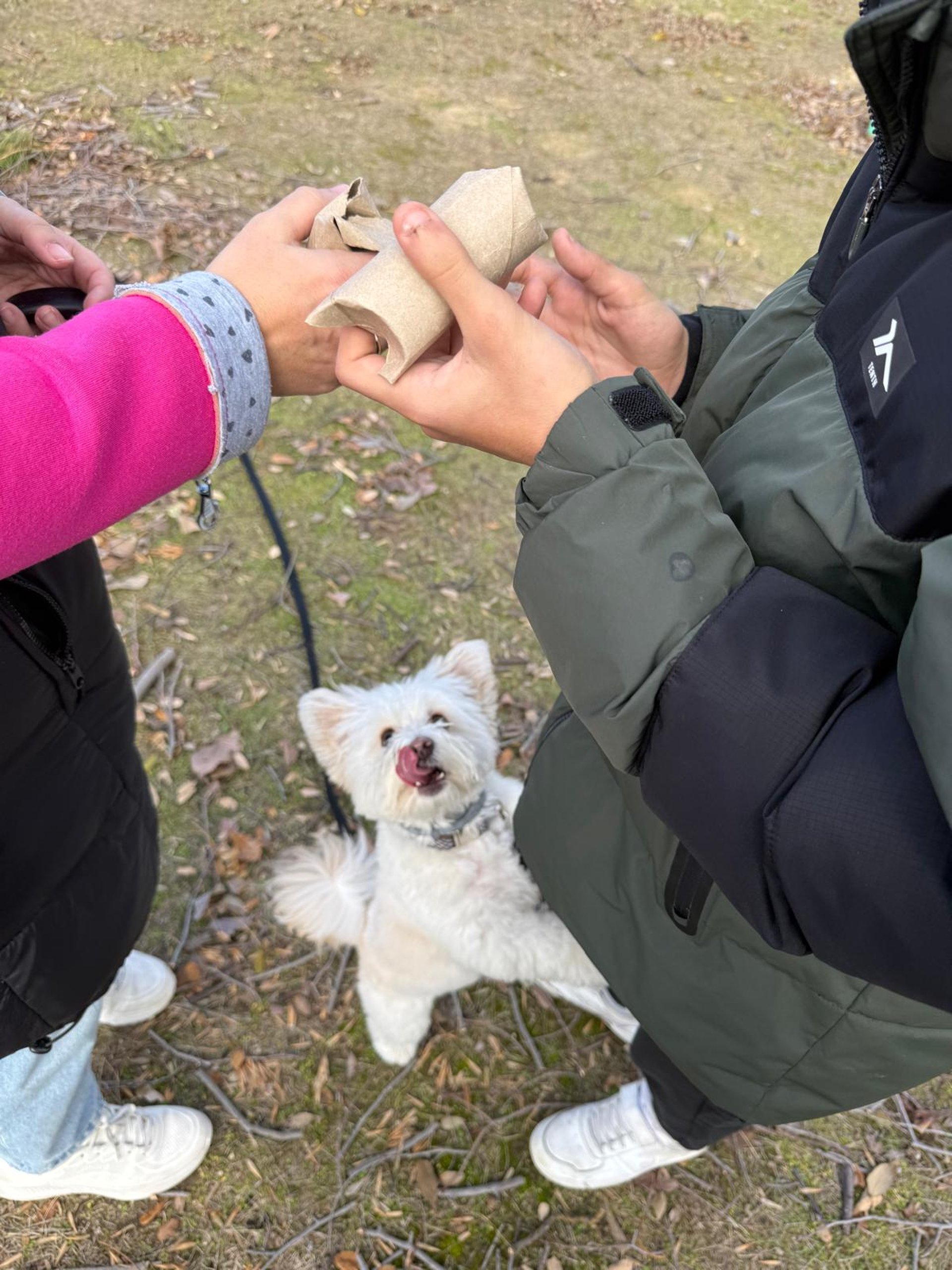 an abstract photo of a curved building with a blue sky in the background