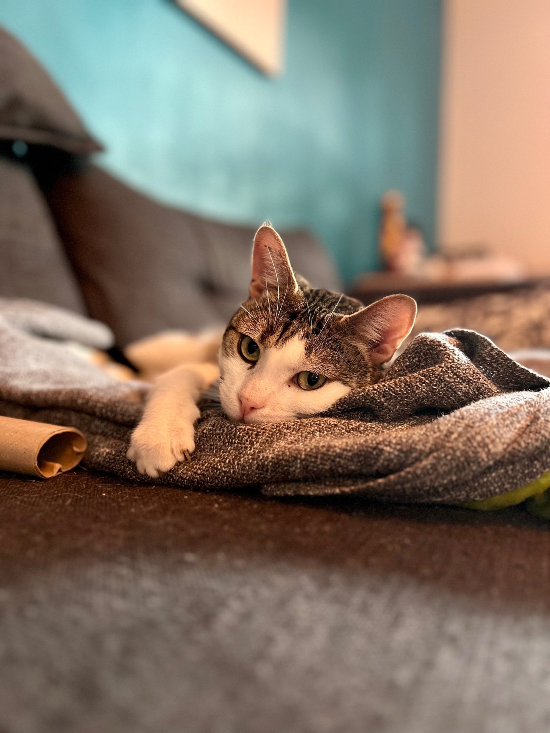 gray computer monitor