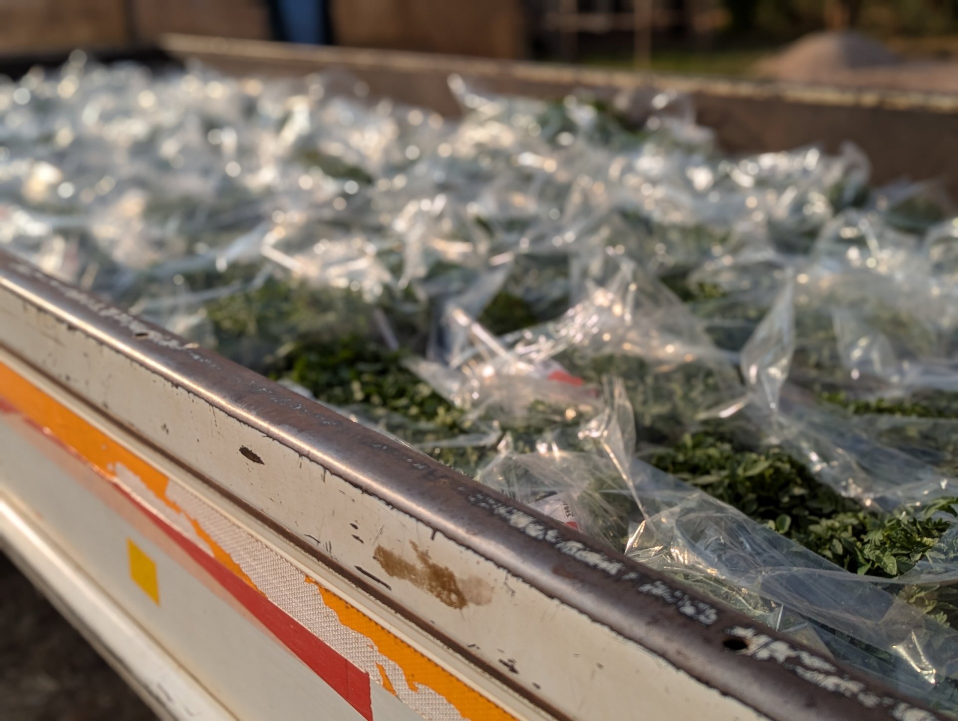 black and white bed linen