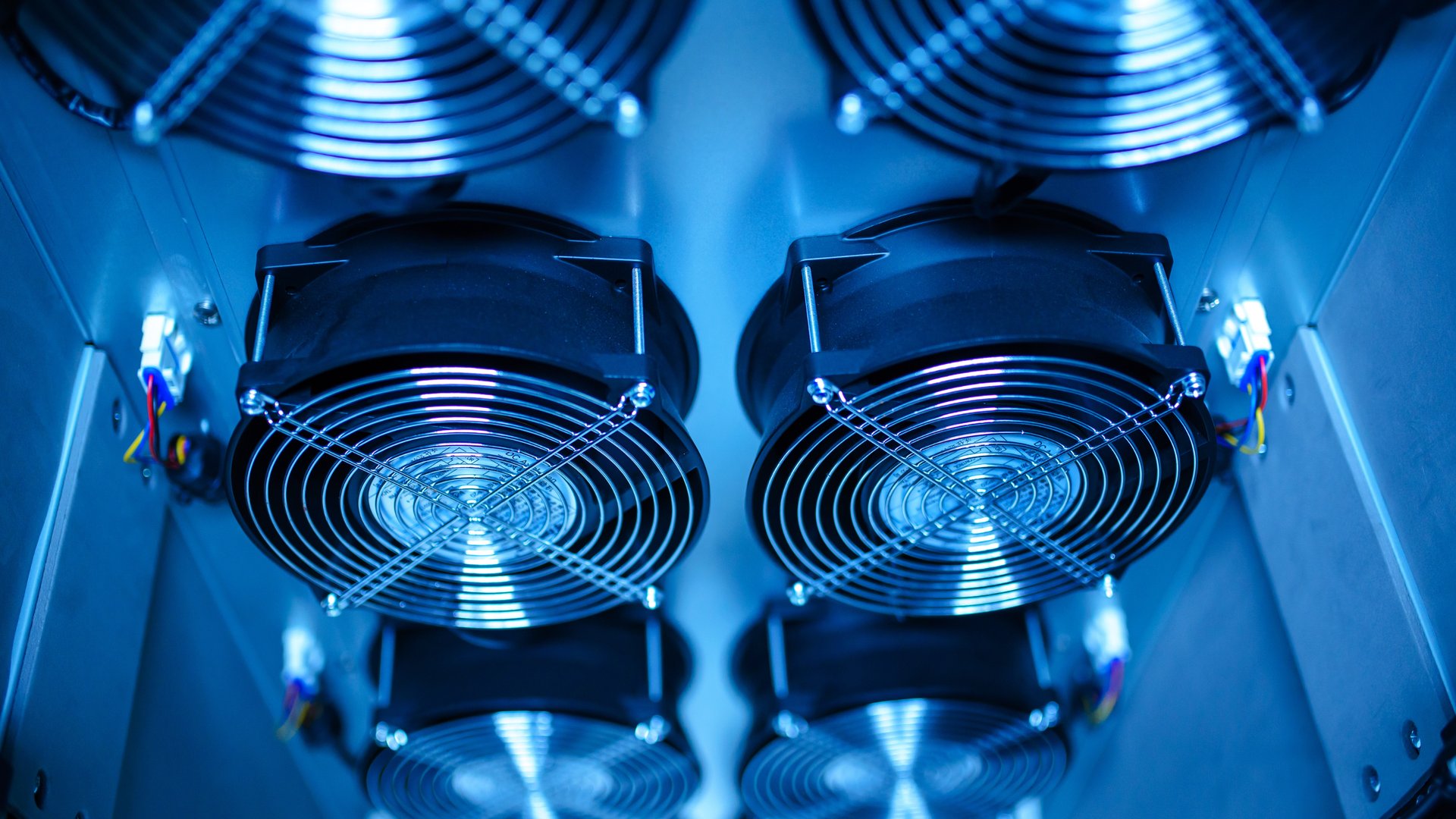 barista in coffee shop