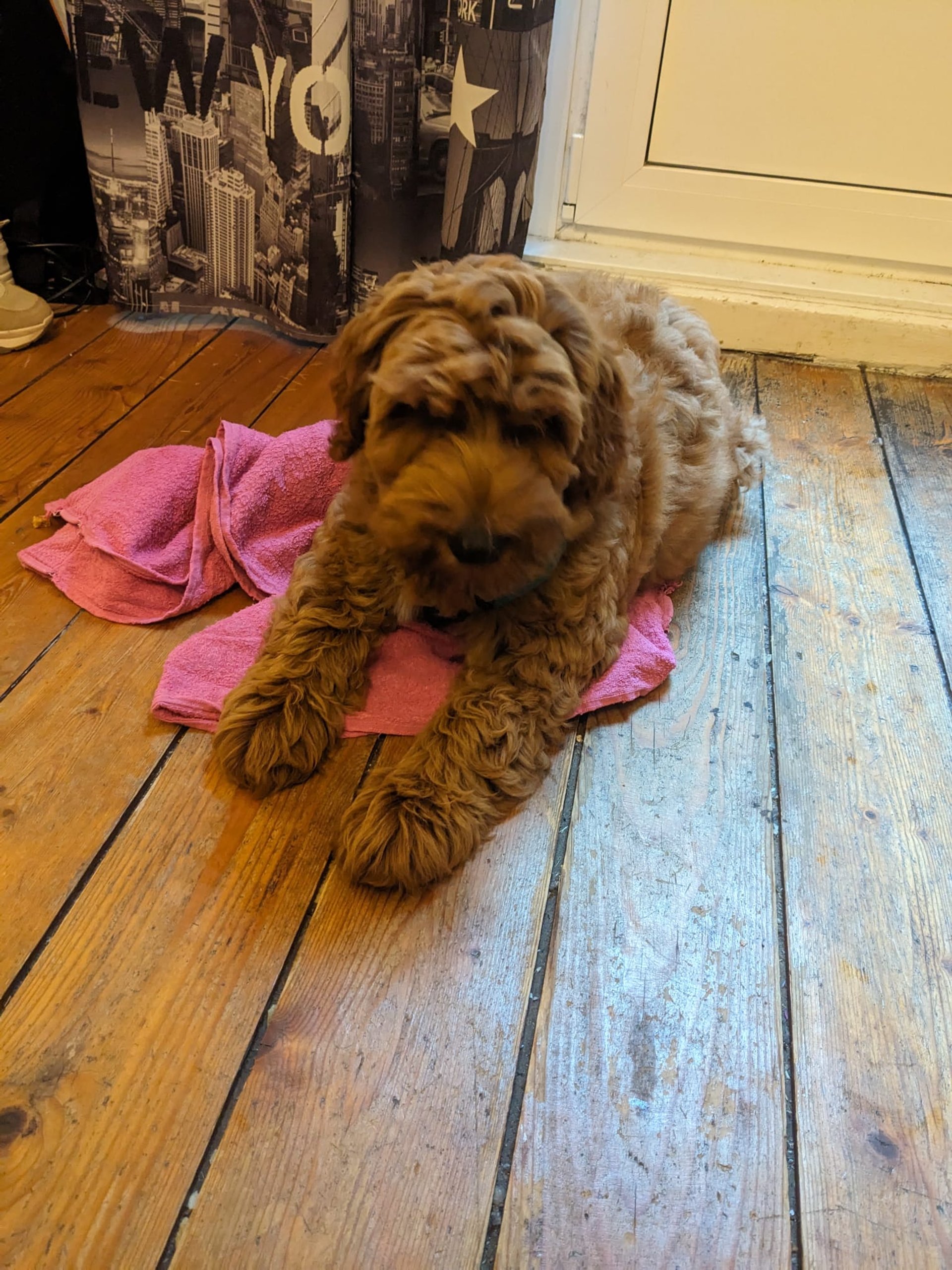 black and white bed linen