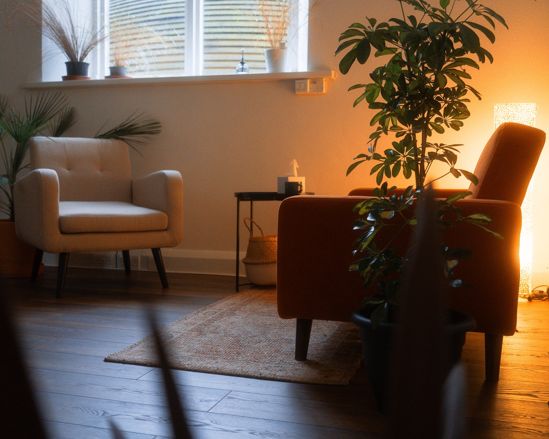 Cody's therapy room. A single grey chair facing an orange couch. There is a warm lighting, wood floor, and multiple plants.