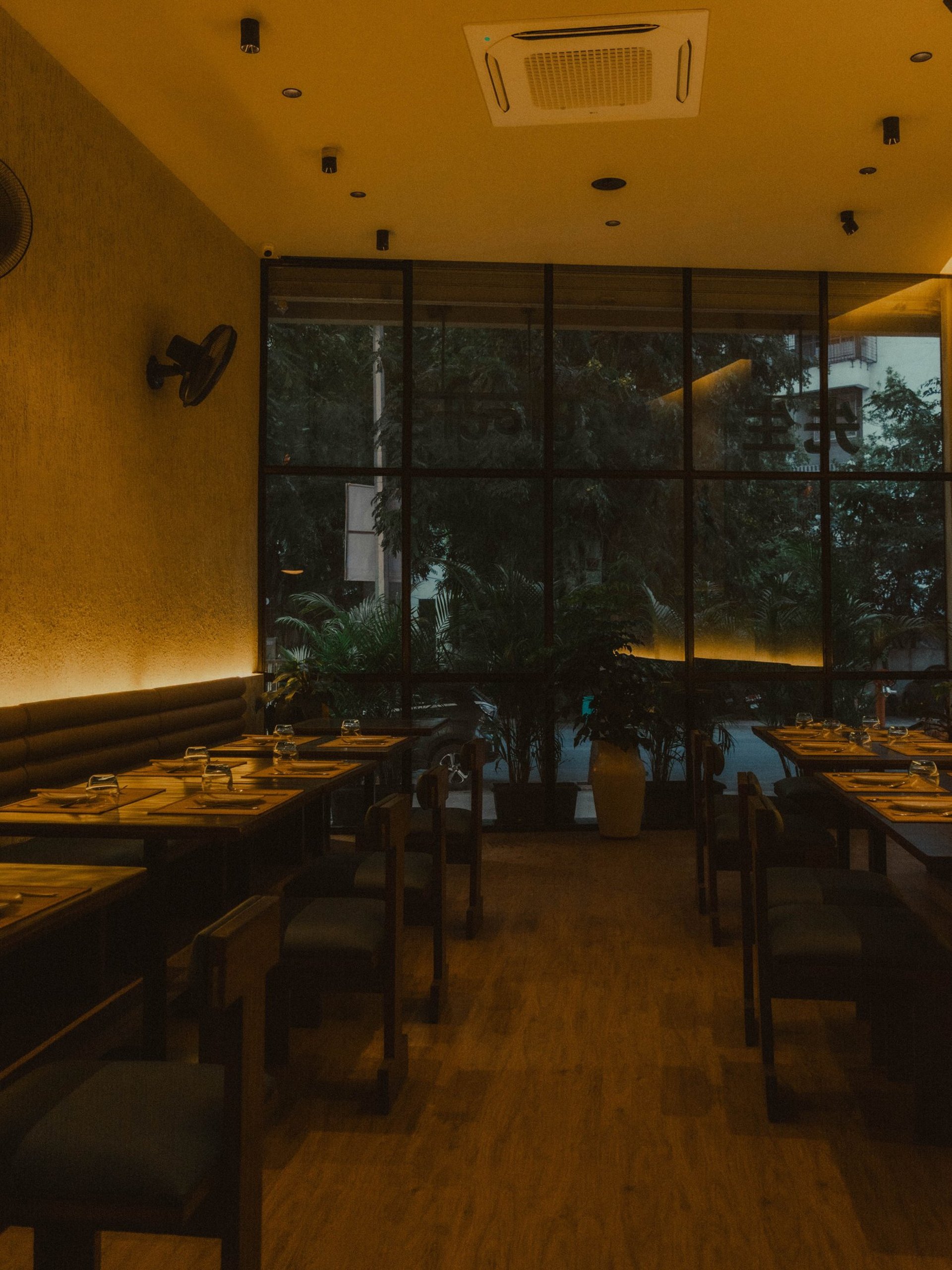 a potted plant sitting on top of a wooden table