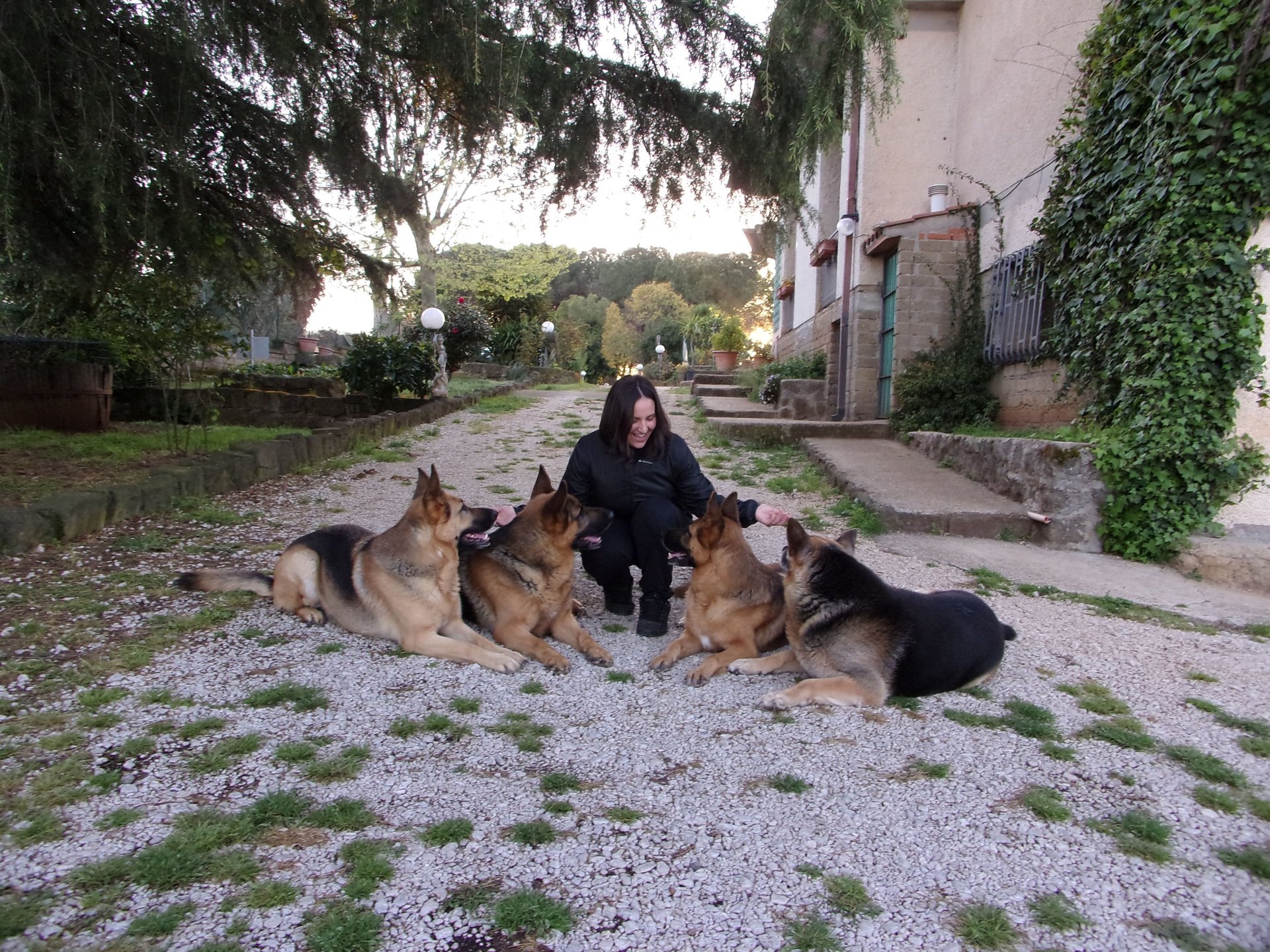 brown and black short coated small dog with white long coat small dog on gray concrete