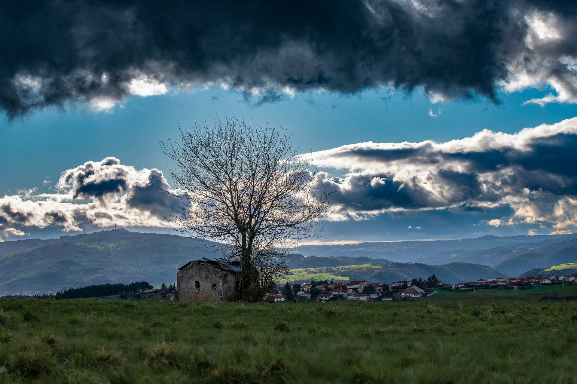 black blue and yellow textile