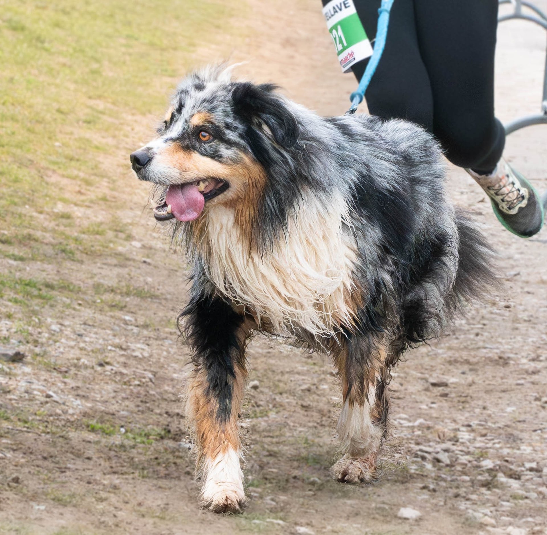 black blue and yellow textile