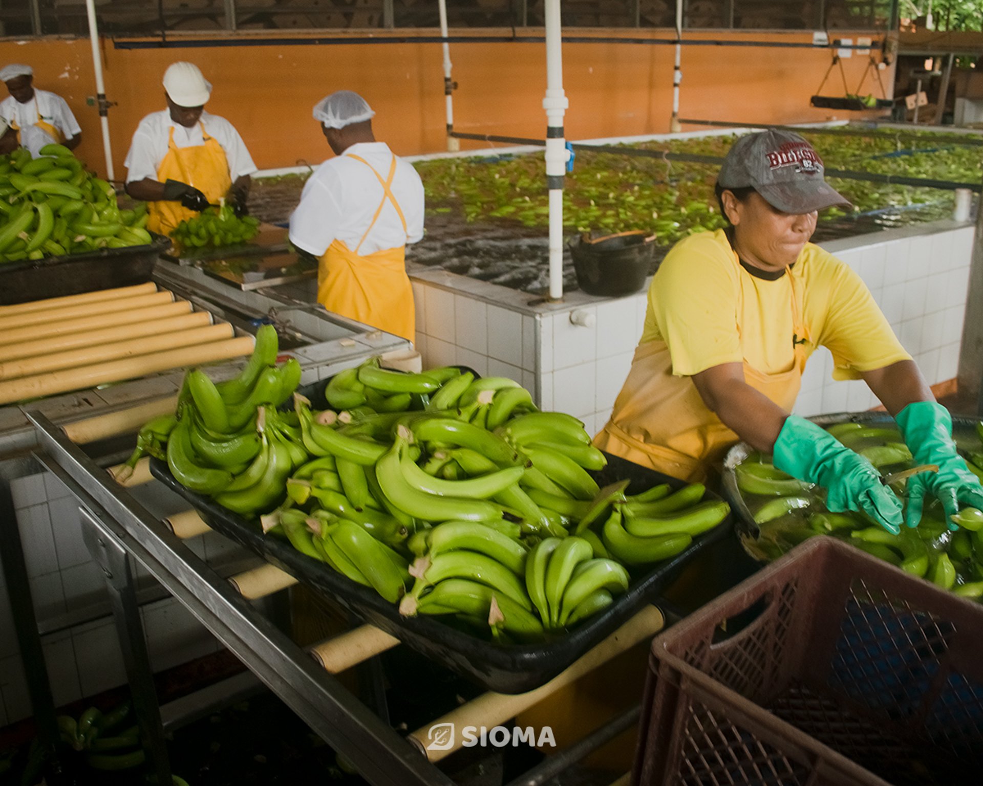 black blue and yellow textile