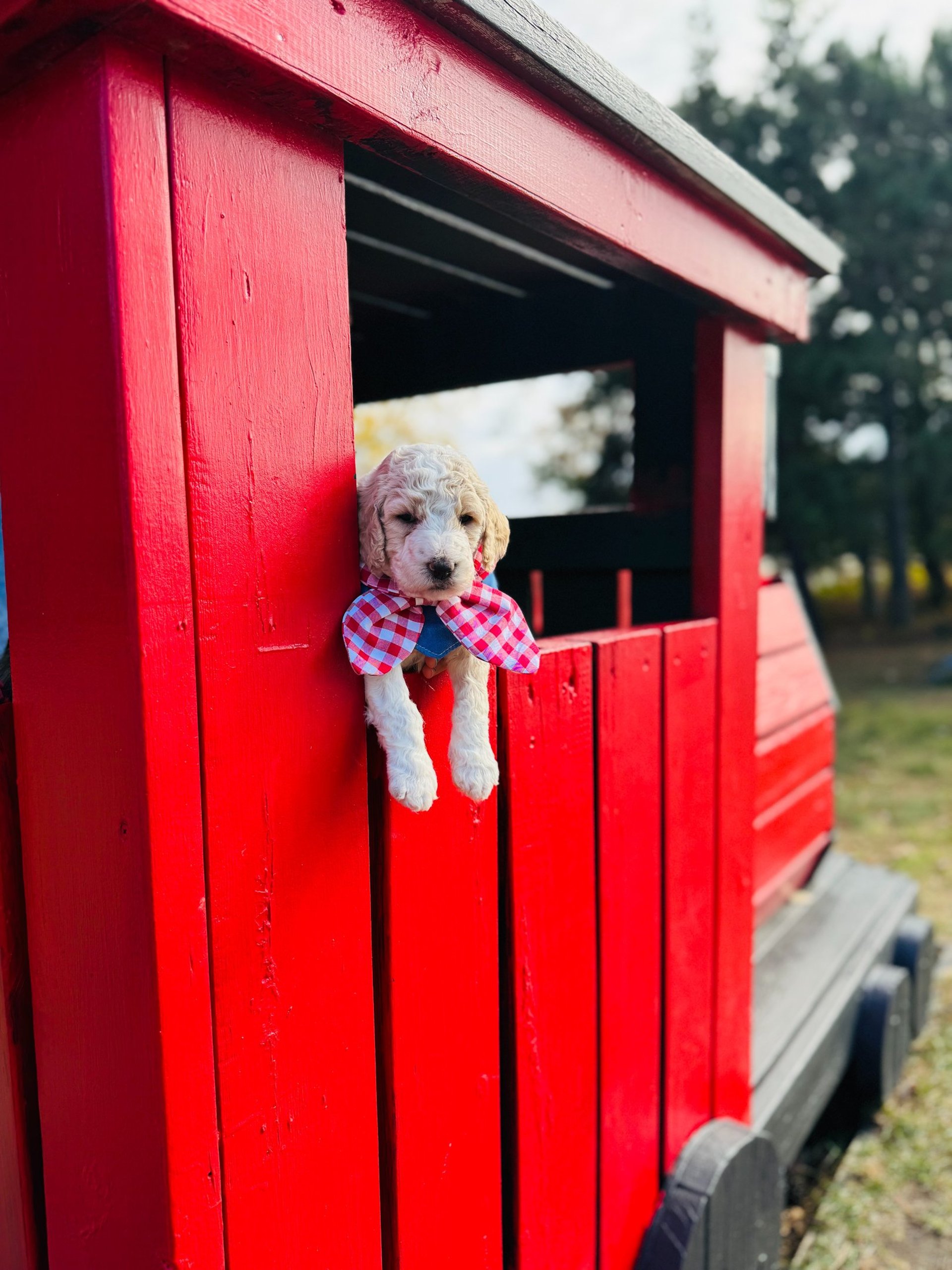 an abstract photo of a curved building with a blue sky in the background