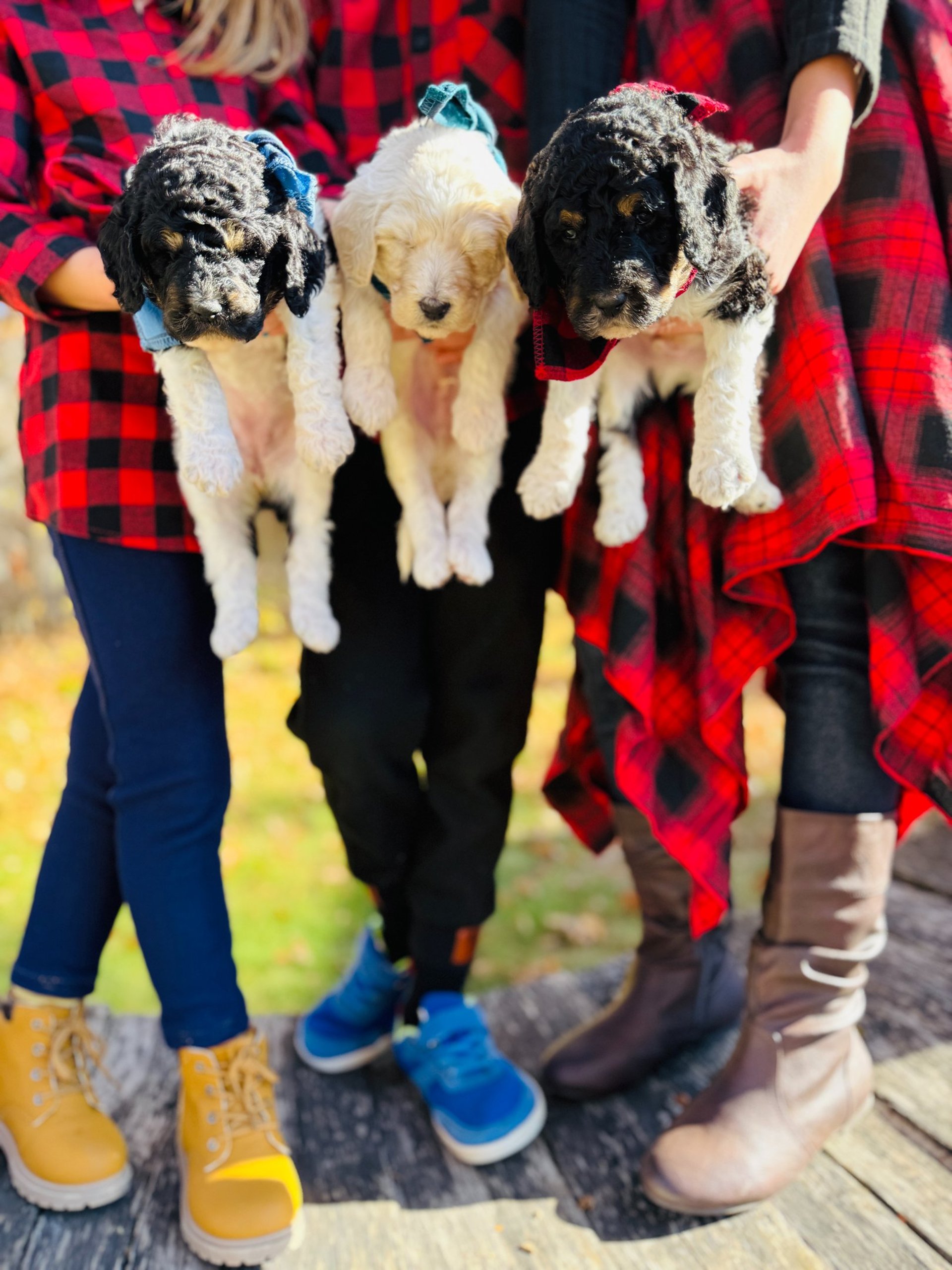black blue and yellow textile