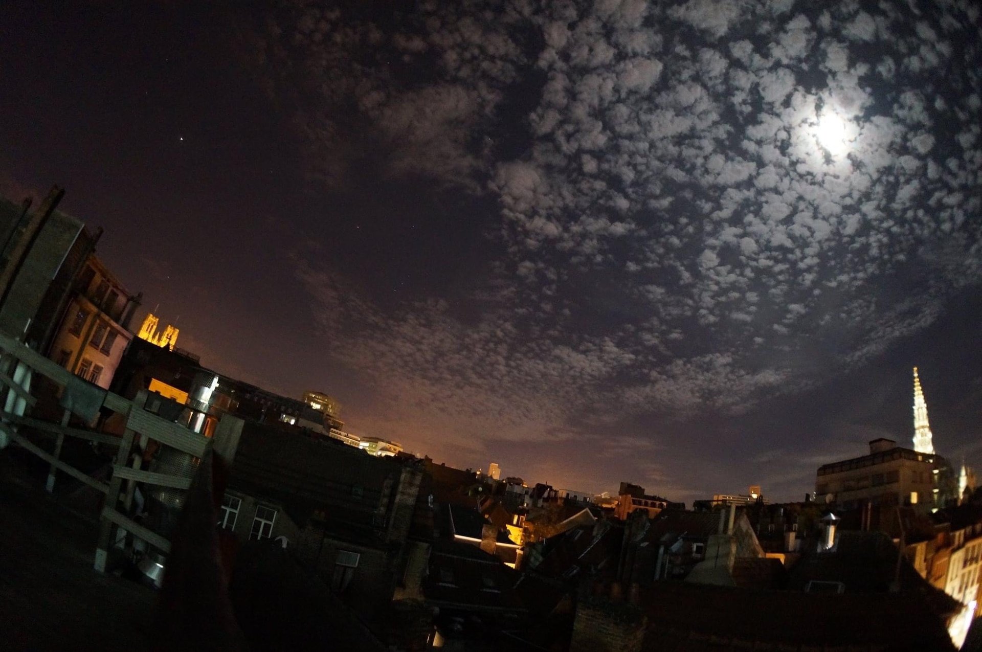 black and white bed linen